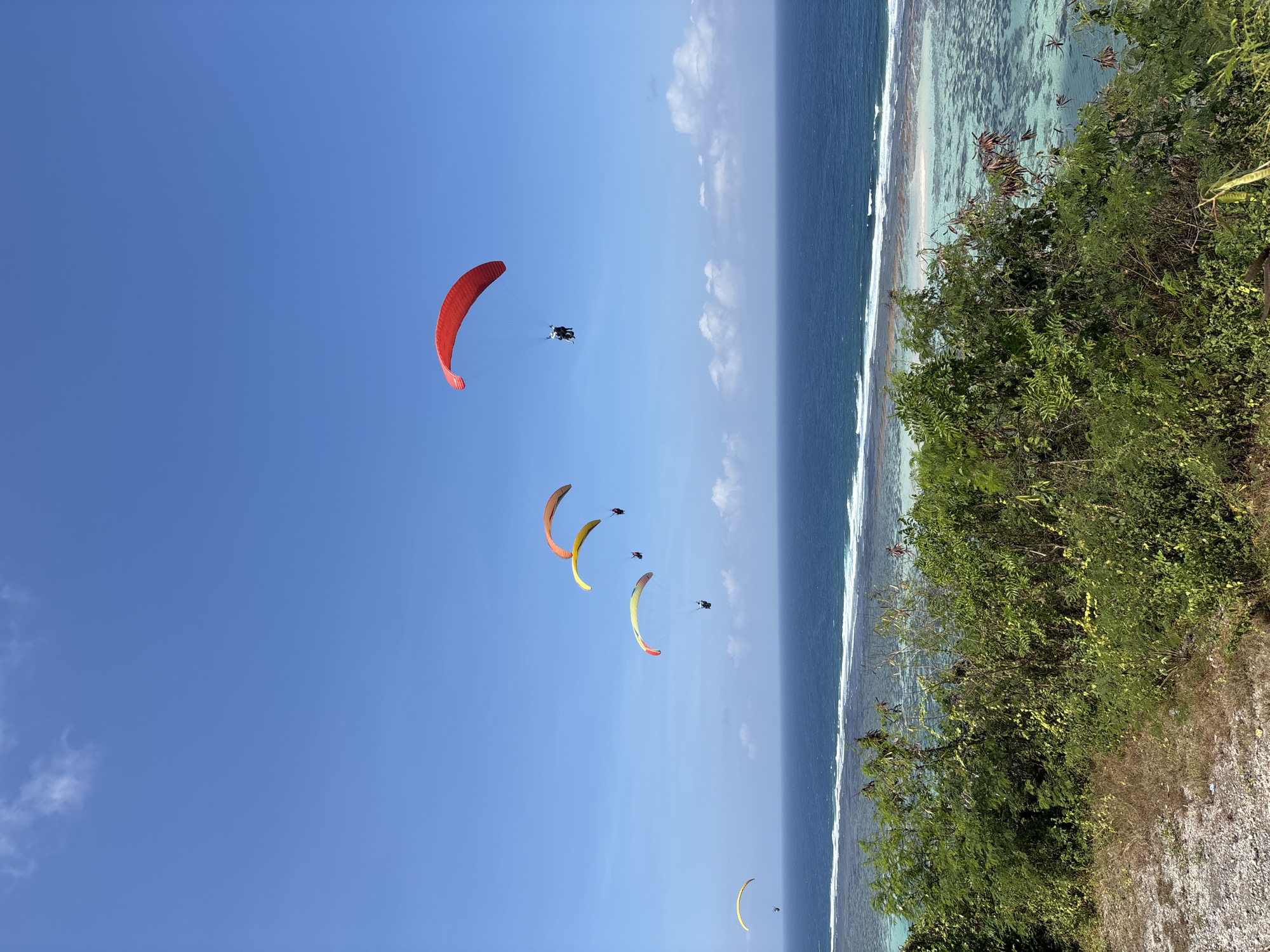 The image depicts a bright, sunny day with a clear blue sky over a tropical coastline. Several paragliders are airborne, their colorful canopies contrasting with the sky. In the foreground, lush green vegetation grows along a rocky cliff face, overlooking the ocean. The water is a vibrant turquoise near the shore, with white waves breaking along a reef.
There are at least five paragliders visible. The largest is a prominent red canopy in the upper left of the frame. Below it, a tandem paraglider with two people can be seen. Further down, two more paragliders are in the air, one with a yellow and orange canopy, and another with a yellow and red canopy. A fifth, distant paraglider with a yellow canopy is visible closer to the ocean. The paragliders appear to be enjoying a recreational activity, likely soaring over the scenic coastline.
The sun is high in the sky, indicating it is likely midday. The weather appears clear and pleasant, ideal for outdoor activities like paragliding. The turquoise water, coral reefs visible beneath the surface, and abundant vegetation suggest a tropical location. Given the provided location context of Kuta Selatan, Indonesia, it is probable that this scene is at a popular paragliding spot in that region, known for its beautiful beaches and coastal cliffs. No text is visible in the image. The overall mood conveyed is one of adventure and freedom amidst a stunning natural landscape.