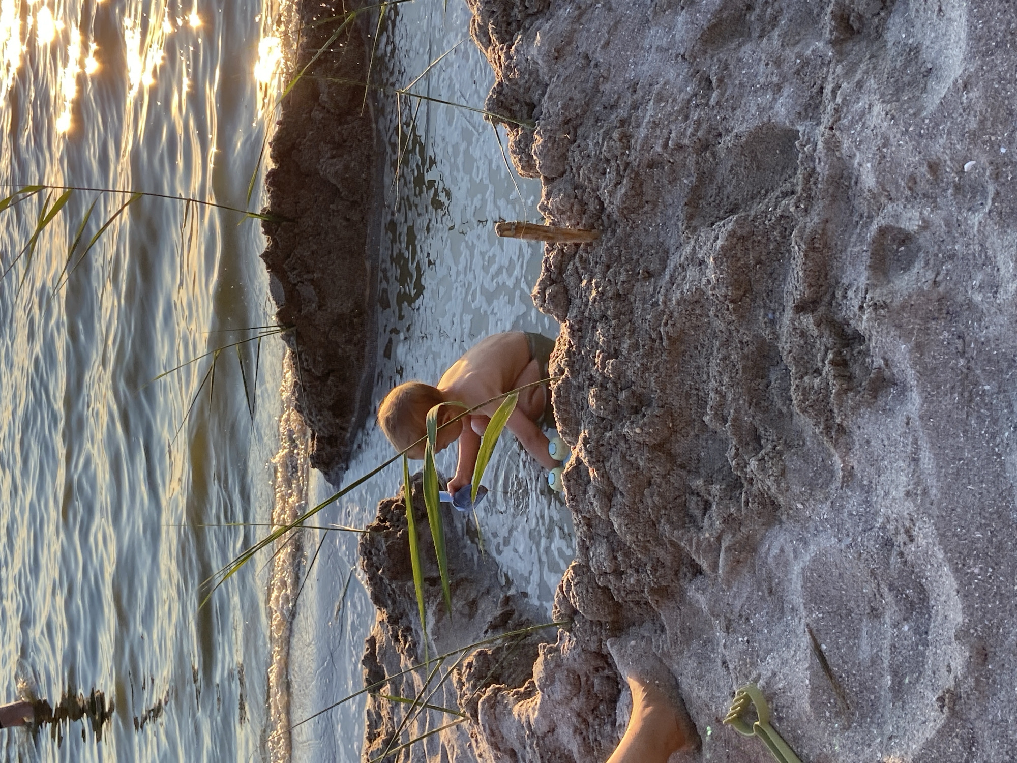 A young child, wearing only a diaper, is crouched near the edge of the water on a sandy shore. The child is facing away from the camera, looking down at the water and appears to be playing with something. They are holding a small, light blue object with rounded ends. Reeds or tall grass are growing from the water and the sandy bank.
The sun is low in the sky, casting a warm, golden light that reflects off the rippling water, suggesting it is either sunrise or sunset. The sand appears damp and textured, with small pebbles or shell fragments mixed in. A small stick is protruding from the sand near the child. In the foreground, a green plastic beach toy, possibly a rake, is visible. The scene appears to be a natural body of water, likely a lake or ocean, with a sandy shoreline. The overall mood is peaceful and idyllic, capturing a moment of childhood play in nature. There is no visible text in the image.