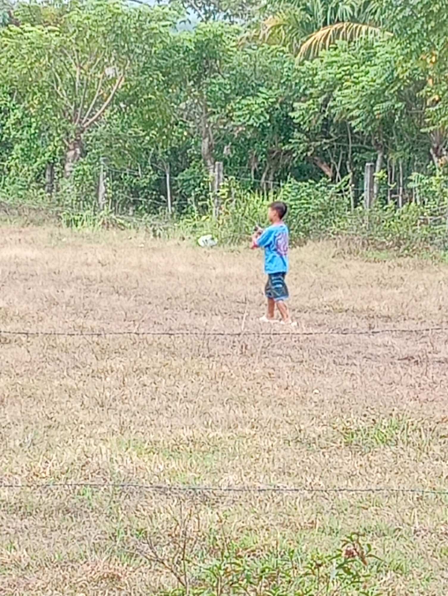 A young boy wearing a blue t-shirt with a graphic design and patterned shorts stands in a dry, grassy field. He is facing to the left and appears to be holding something in his right hand, possibly a toy or a tool. In the background, there is a dense line of green trees and foliage, with some wooden fence posts visible. The ground is covered in dry grass, and there is a thin wire fence running horizontally across the lower portion of the image. The scene appears to be in an outdoor, rural setting. This is a photograph from Tanjung Pandan, Indonesia.