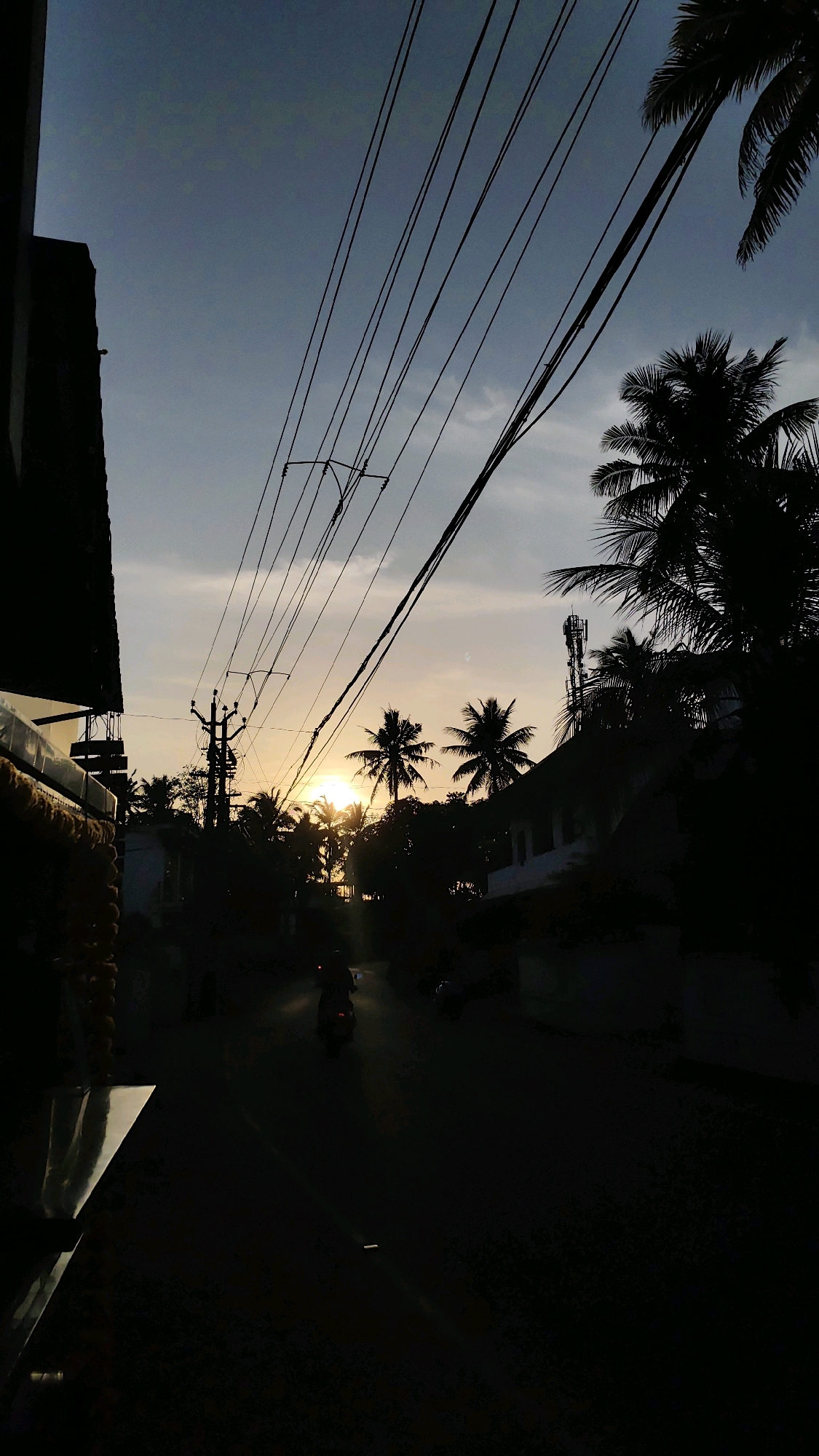 The image captures a silhouetted street scene at dusk in Panmana, India. The sky is a gradient of muted blues and oranges, with the setting sun casting a warm glow behind a dense arrangement of palm trees. Overhead, a complex network of power lines crisscrosses the frame, supported by utility poles. In the foreground to the left, a dark, angular structure, possibly part of a building, creates a strong silhouette. The street itself is dark, with the headlights of a single scooter, carrying a person, illuminating a small portion of the asphalt as it moves away from the viewer. Another parked scooter is visible on the right side of the road. Buildings and more palm trees are silhouetted against the twilight sky on either side of the street. A cell tower is also visible in the distance, partially obscured by trees. The overall impression is one of a quiet, residential street at the end of the day.