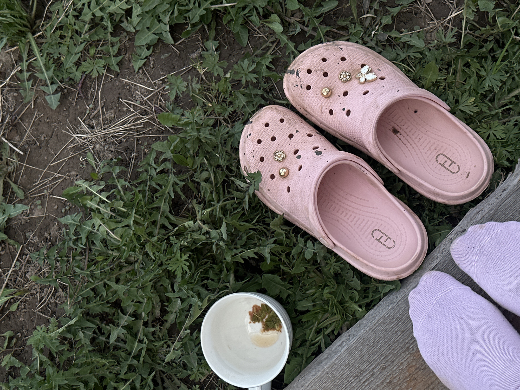 The image depicts a pair of pink Crocs-style clogs decorated with gold and white charms, resting on a patch of green grass. A white mug containing a small amount of liquid and some plant matter sits nearby. Two feet clad in light purple socks are also visible, partially obscured by a wooden plank. The location is not discernible from the image, and there is no definitive evidence linking it to Черёмушки, Russia.