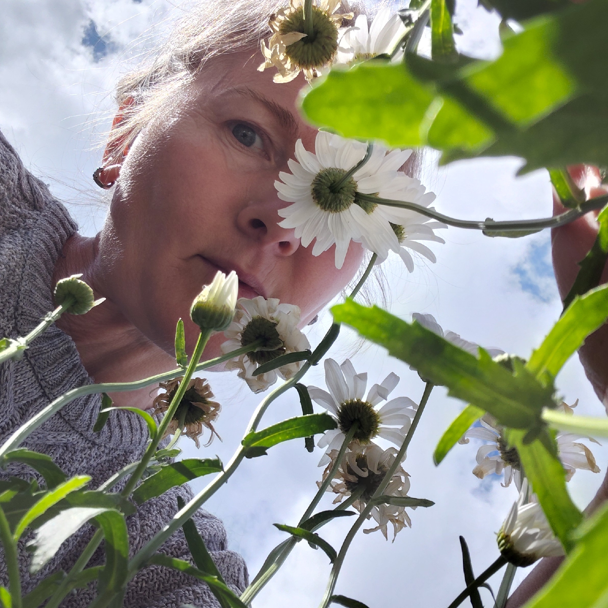 The image shows a close-up, low-angle shot of a person's face, partially obscured by white daisies and green foliage. The person appears to be a woman with fair skin and light-colored hair, looking upwards towards the sky. Her left eye is visible, and her nose and mouth are also discernible. She is wearing a grey knitted sweater. The background consists of a cloudy sky. The scene does not provide any visual information that would allow for the determination of its location within the city of Novosibirsk, Russia, or any specific urban setting.