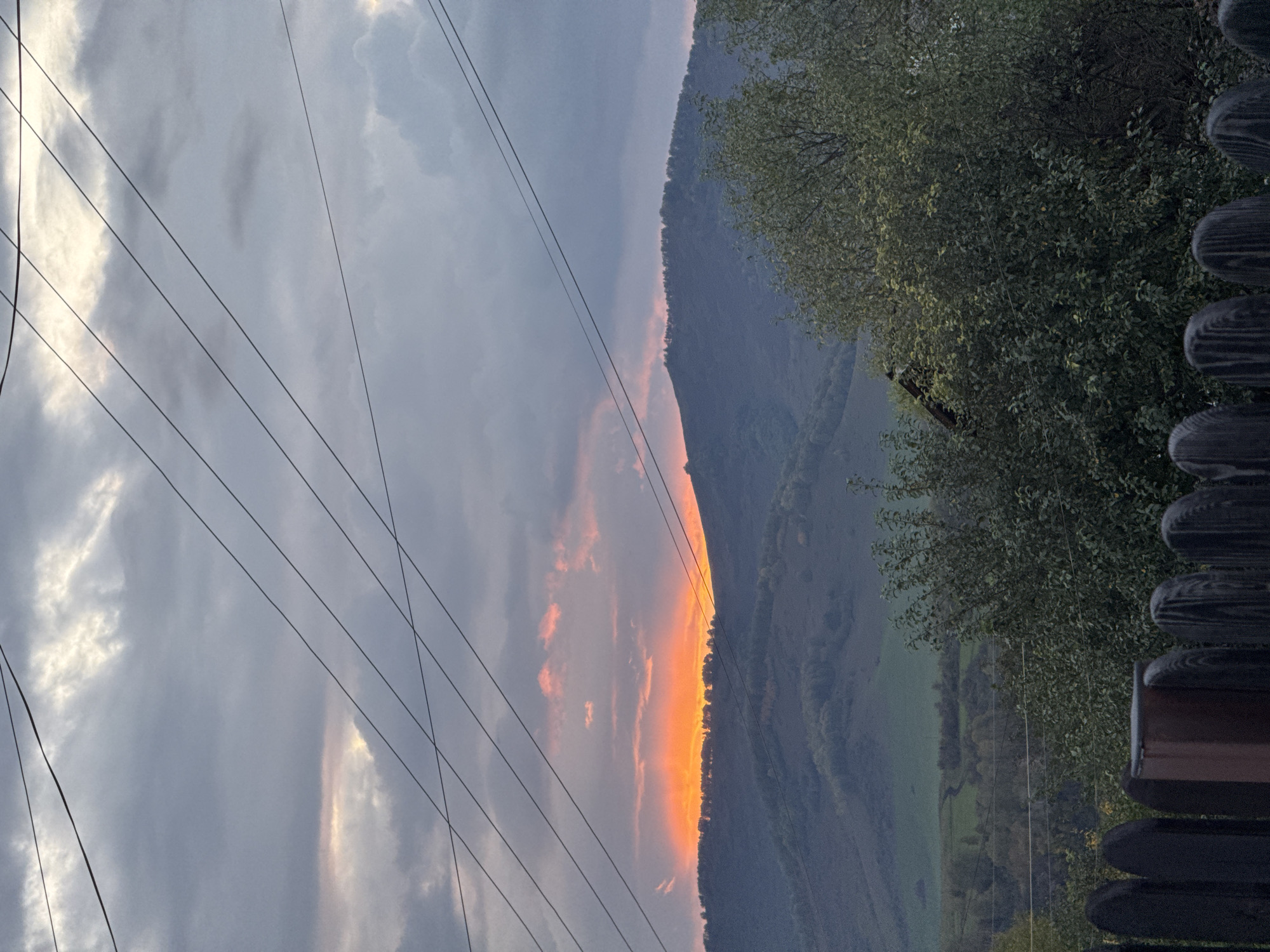The image depicts a cloudy sunset over a hilly landscape, likely near Soloneshnoye, Russia. In the foreground, a dark wooden fence runs horizontally across the bottom of the frame, with a weathered, reddish-brown post visible towards the left. Behind the fence, dense green foliage of trees obscures much of the mid-ground. Beyond the trees, rolling hills are visible, covered in a mix of trees and patches of green fields. The horizon is marked by the dark silhouette of a ridgeline, with a bright band of orange and pink clouds, indicating the setting sun, directly above it. The sky is overcast with various shades of gray and white clouds, with some lighter, wispy clouds above the sunset band. Several power lines traverse the sky diagonally from the upper left to the lower right, intersecting the frame. The overall atmosphere is muted, with the vibrant colors of the sunset providing a stark contrast to the otherwise subdued tones of the landscape and sky.