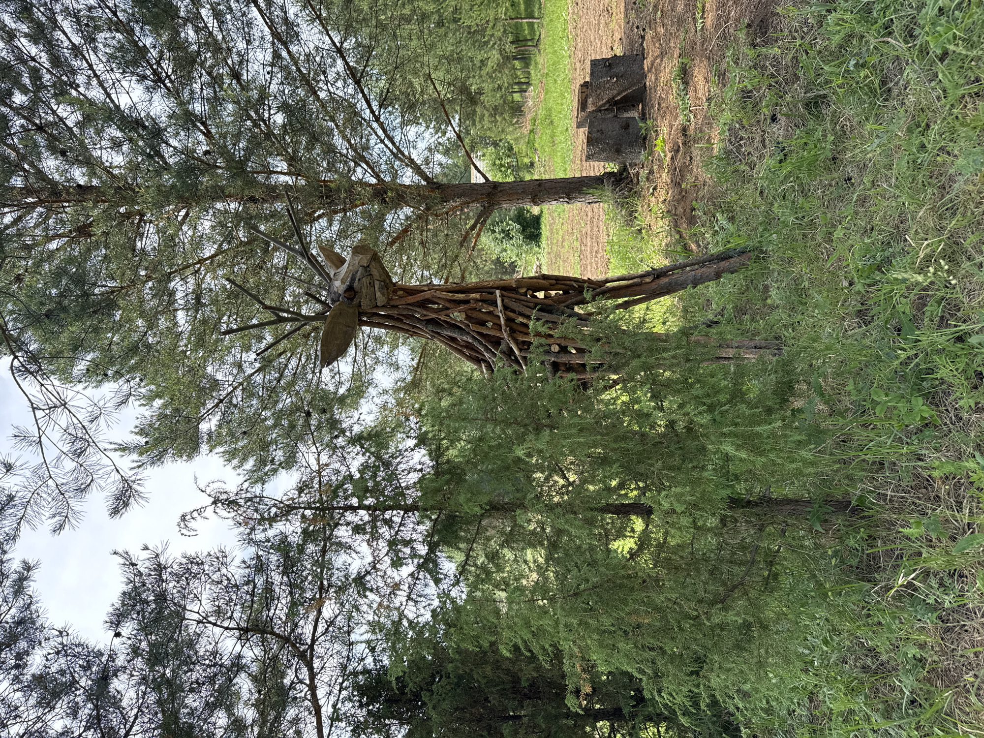 An outdoor scene in Гольяны, Russia, features a rustic sculpture of a deer made of branches and wood, positioned among trees and overgrown grass. The sculpture, resembling a life-sized deer, has a head constructed from wooden planks and antlers made from twigs. It stands to the right of a dense green shrub. Behind the sculpture, a tall pine tree is prominent, with more trees forming a backdrop and suggesting a wooded area. The ground in the foreground is covered in grass and dry leaves, with patches of bare earth. To the right of the deer sculpture, several large, rough-hewn wooden logs are stacked. The sky, visible through the tree branches, is overcast. No people are present in the image.