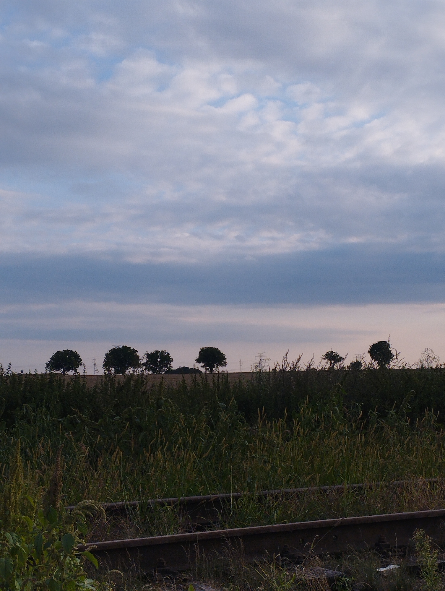 The image depicts a rural landscape under a cloudy sky. In the foreground, a section of disused railway tracks runs horizontally, partially obscured by tall, wild grasses and vegetation. The tracks appear weathered and overgrown, suggesting a lack of recent use. Beyond the tracks, a field of dry grass stretches towards a line of trees silhouetted against the horizon. These trees are spaced out, with a few appearing larger and more mature than others. In the distance, on the horizon, a power line pylon is visible between the trees. The sky is filled with a mix of light and dark clouds, with hints of blue sky peeking through, suggesting it might be dusk or dawn. The overall atmosphere is one of quiet desolation and the encroaching of nature on man-made structures. The location is identified as Hospozín, Czechia.