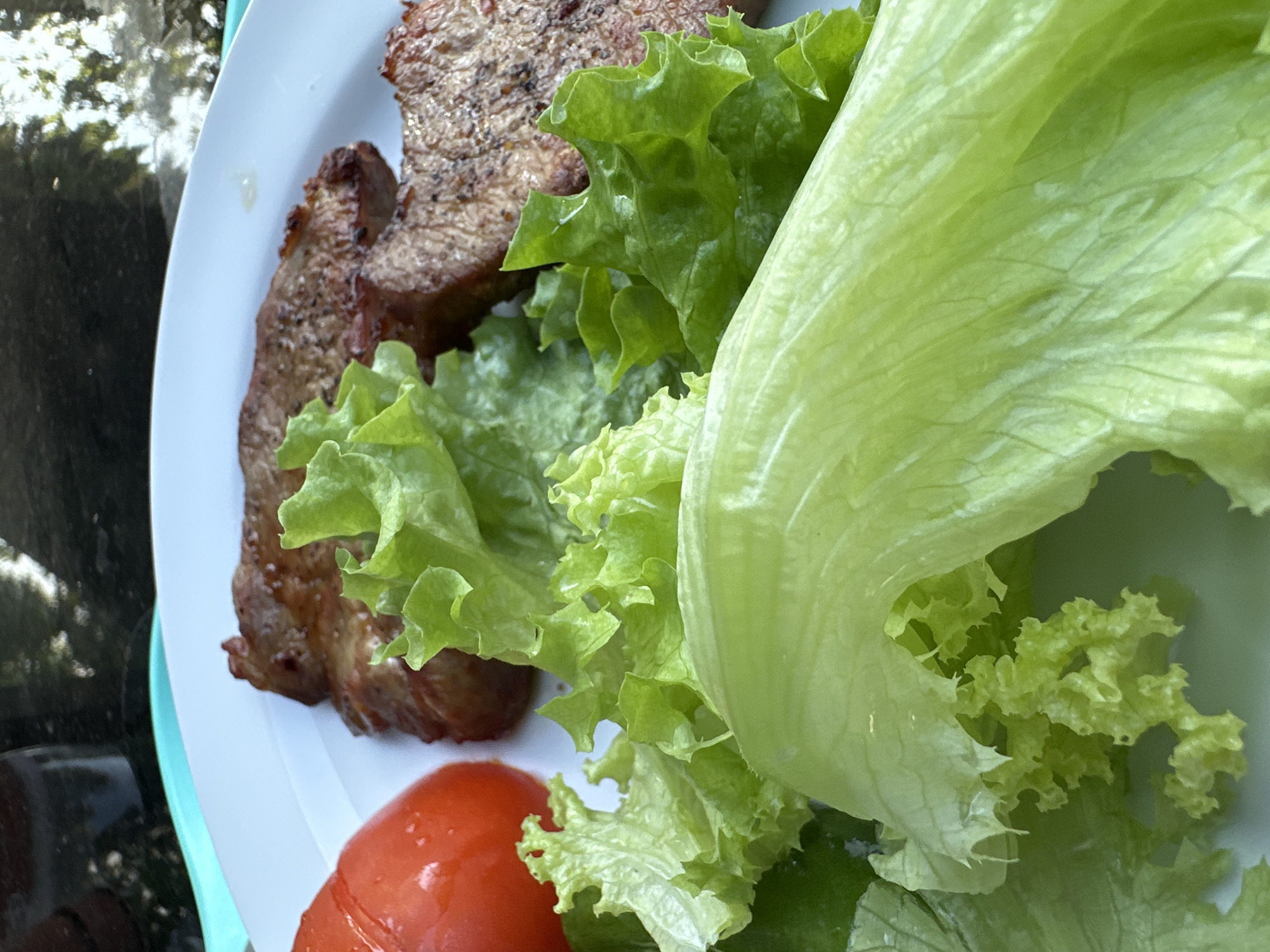 A white plate holds a meal consisting of grilled meat, lettuce, and a whole tomato. The meat appears to be two or three slices of steak, seasoned with pepper. The lettuce is fresh and green, with some leaves ruffled and others smooth. A bright red tomato sits on the left side of the plate. The meal is likely part of an outdoor setting, suggested by the reflective surface in the background, which could be a table, and the blurred greenery indicating foliage. There is no indication of Krefeld, Germany, in the image.