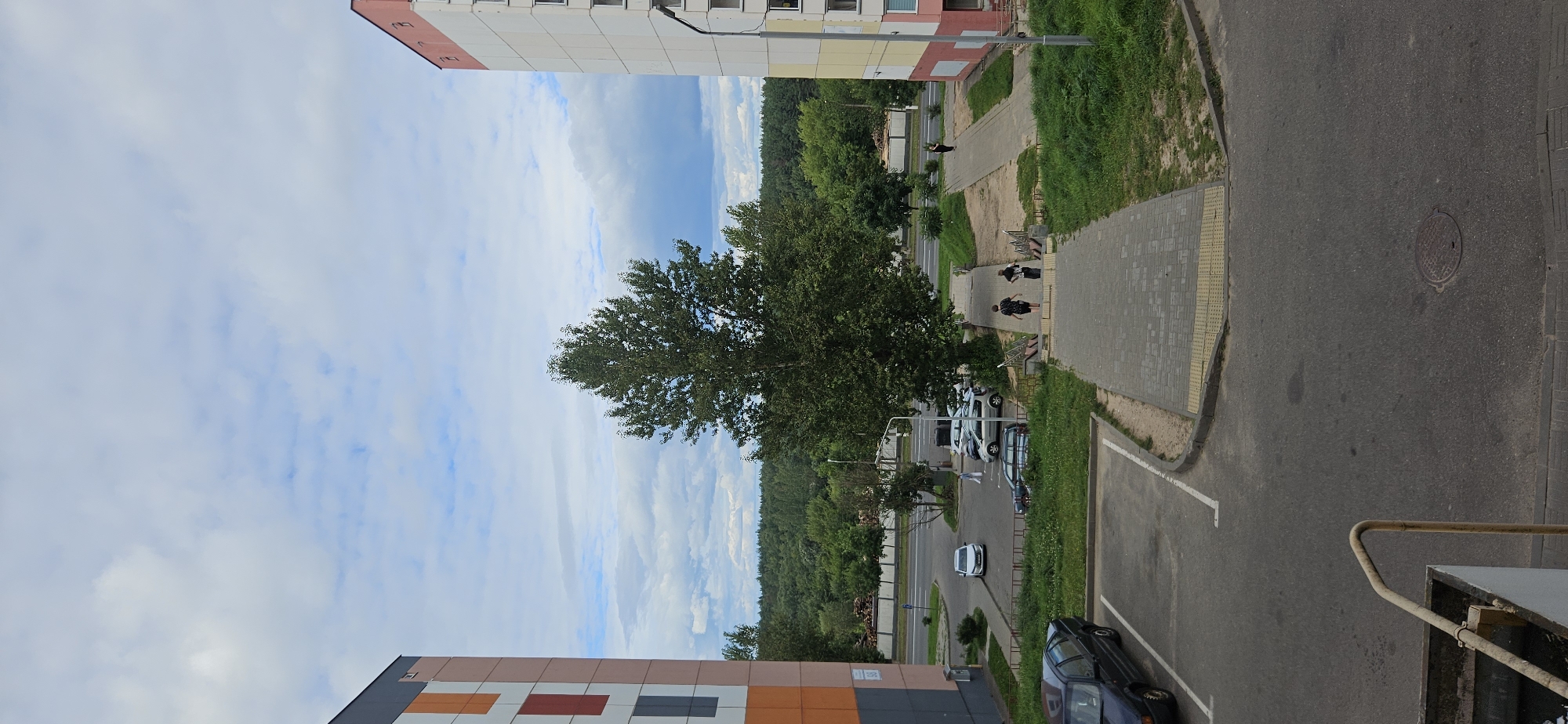 The image shows an outdoor scene with two apartment buildings, a tree, a road, and a parking area. The building on the left is modern with colored panels in orange, white, red, and grey. The building on the right is taller, with a white facade and pink and yellow accents, and appears to be an apartment block. A large, leafy tree stands prominently in the middle ground. In the foreground, a paved walkway leads down a set of stairs towards a road and parking lot. Several cars are parked in the lot, and two individuals are walking up the stairs. Beyond the road, a dense forest stretches to the horizon under a cloudy sky. The overall impression is a residential urban environment with green spaces. It is likely a common scene in Vitsebsk, Belarus, given the architectural style of the buildings and the presence of a coniferous forest.