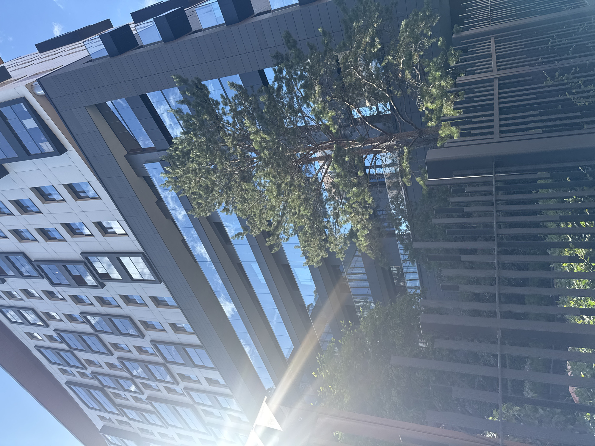 The image is an outdoor, low-angle shot of a modern building with a contemporary architectural design. The building features a facade composed of white panels and dark gray, reflective glass windows. These windows reflect a clear blue sky with scattered white clouds, suggesting a sunny day. A tall evergreen tree with dense foliage is prominently positioned in the foreground, its branches extending across the upper portion of the building.
The building's structure is complex, with varying depths and protruding sections, creating a dynamic and geometric appearance. Some windows are recessed, while others appear to be part of cantilevered elements. To the right of the building, there is a dark gray slatted structure, possibly a fence or an external architectural feature, also partially covered with greenery.
The sun is shining brightly, casting lens flares across the lower part of the image, indicating it is likely daytime. The overall scene conveys a sense of urban modernity, with the natural element of the tree providing a contrast to the man-made structure. No people or specific activities are visible. There is no visible text in the image. The context suggests the location is Yekaterinburg, Russia.