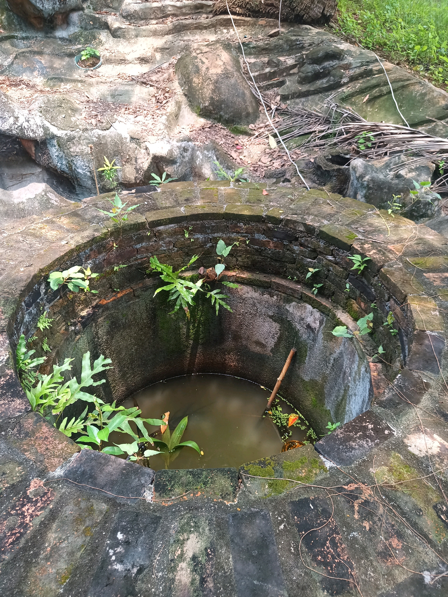 The image shows a close-up, overhead view of a circular brick well filled with murky water. The well is surrounded by rough, grey concrete structures and natural rocks, with sparse green vegetation growing around its rim and within its walls. A wooden stick rests inside the well, partially submerged in the water, alongside some floating plant debris. The scene appears to be outdoors in a natural, overgrown setting, likely in Sai Thai, Thailand, given the context. The lighting suggests it is daytime, with natural light illuminating the area. There are no people visible in the image, and no discernible actions or interactions are taking place. The overall impression is one of disuse and the encroachment of nature on a man-made structure.