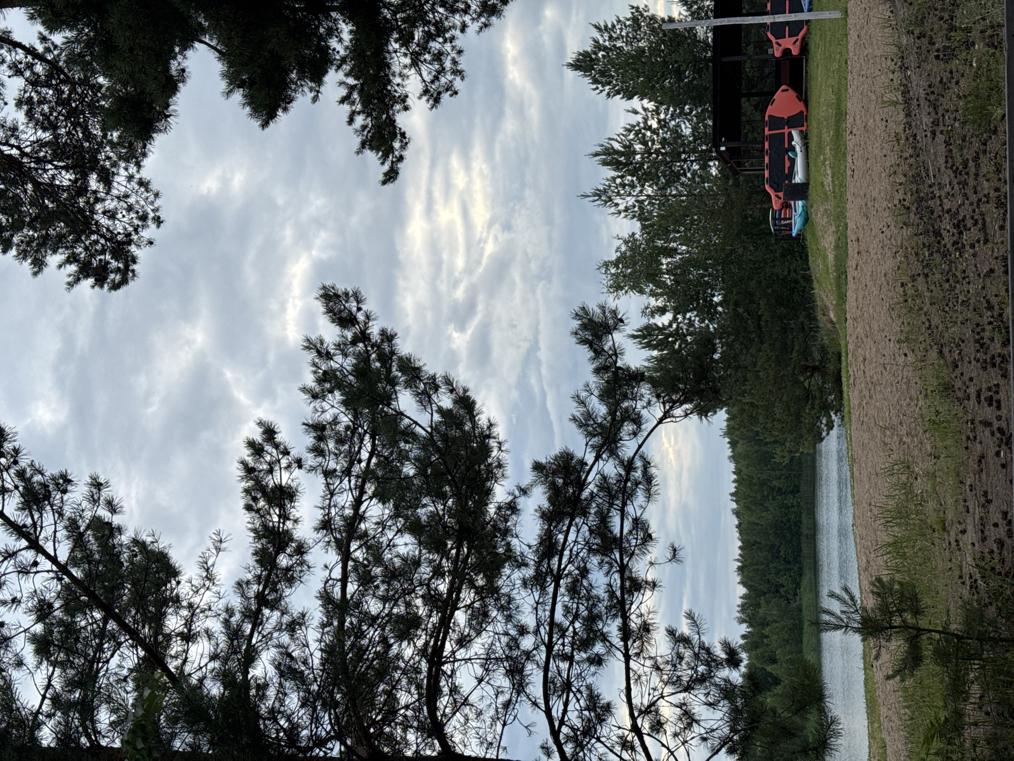 The image depicts a serene lakeside scene, likely in Novyi, Russia, under an overcast sky. The foreground is a sandy beach scattered with pinecones. Tall pine trees frame the upper portion of the image, their branches silhouetted against the cloudy sky.
In the mid-ground, a calm body of water, presumably a lake, is visible, with a dense green forest lining its far bank. To the right, on a grassy knoll, a covered structure shelters several inflatable watercraft, including orange and black paddleboards and a blue inflatable kayak. The overall atmosphere is tranquil and suggests a recreational area by the water. No people are visible in the scene.