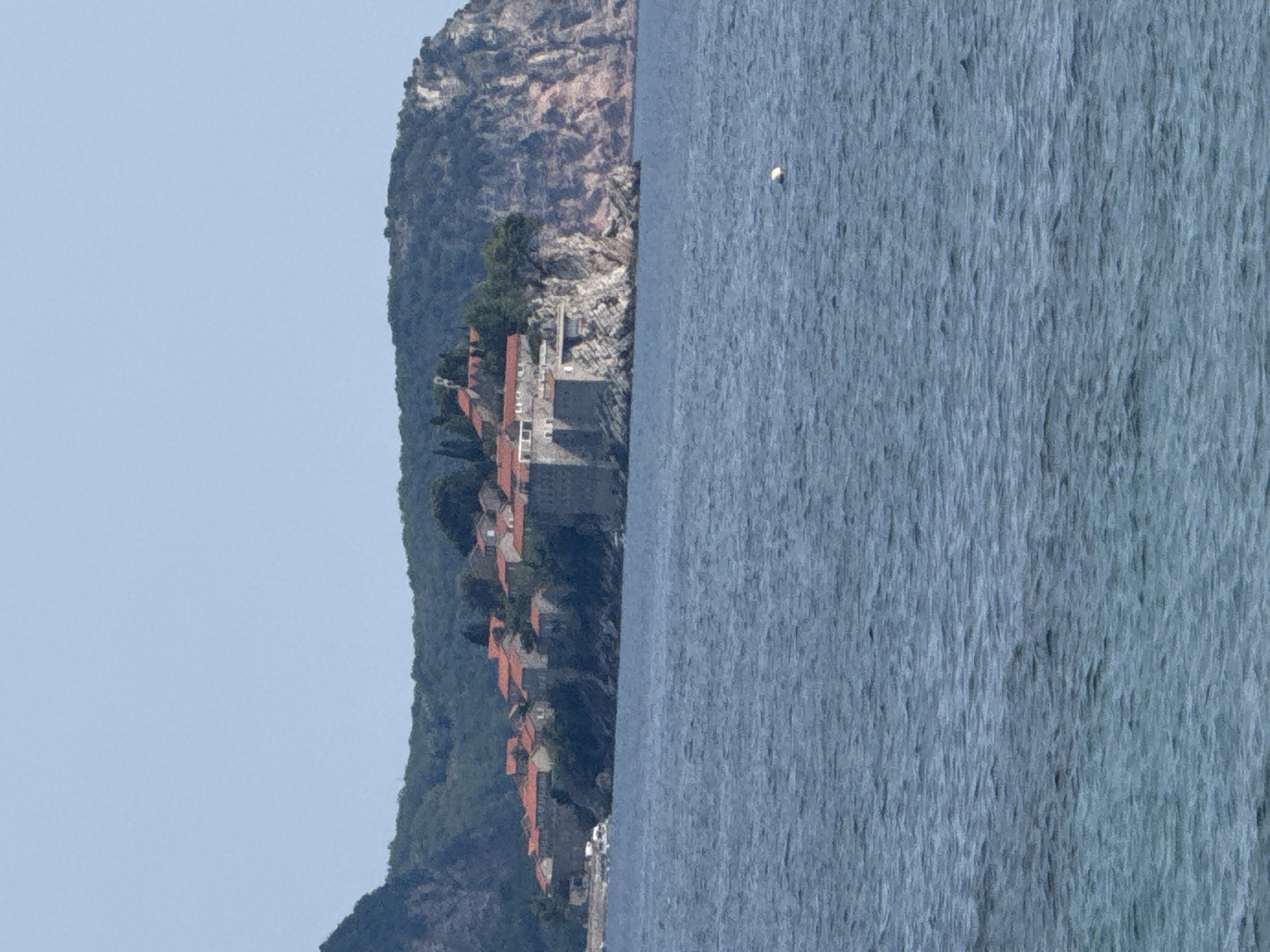 The image depicts a scenic view of a coastal settlement nestled against a steep, rocky mountain. The settlement features numerous buildings with characteristic red-tiled roofs, suggesting a Mediterranean or similar climate. These structures appear to be built on the slopes, cascading down towards the water. Lush green vegetation covers parts of the mountainside, contrasting with the bare rock.
The foreground is dominated by a vast expanse of deep blue water, with a gentle texture indicating calm conditions, possibly a sea or a large lake. A small white object, possibly a buoy, is visible on the water's surface in the distance.
The scene is bathed in natural light, suggesting it was captured during the daytime, likely mid-morning or afternoon given the brightness and lack of strong shadows. The sky is a pale, clear blue.
The overall impression is one of tranquility and natural beauty. The combination of the rugged mountainous terrain, the charming architecture of the settlement, and the serene water creates a picturesque landscape. While no people are explicitly visible, the presence of buildings implies human habitation. The location context of Rafailovići, Montenegro, further situates this scene as a coastal European destination, known for its beautiful coastlines and historic architecture. There is no visible text in the image.