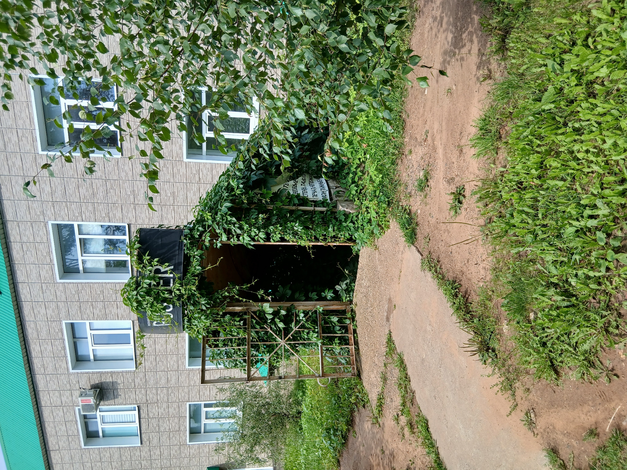 A wide-angle, eye-level outdoor shot captures the exterior of a building covered in ivy. The building has a textured, light-colored facade and a green metal roof. Multiple windows with white frames are visible on the building's upper floors, along with an air conditioning unit mounted on one of the walls. An open, rusty metal gate is situated in the foreground, partially obscured by overgrown green ivy that also covers the entrance to the building. A sign with text in Russian is attached to the ivy-covered wall to the right of the entrance. The ground is a mixture of dirt, gravel, and overgrown grass. A concrete path leads towards the entrance. A large tree with green leaves is present on the right side of the frame.