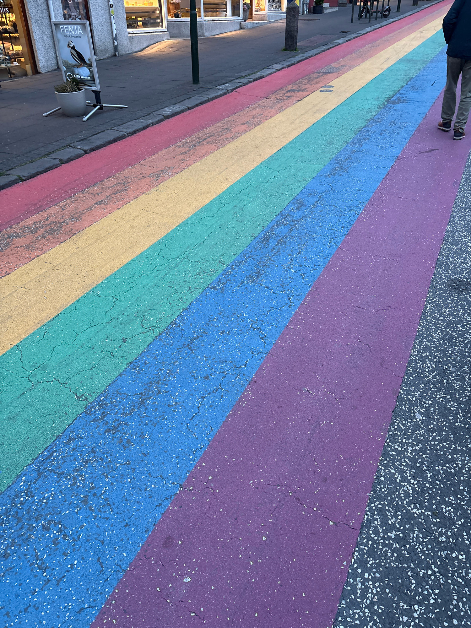 The image captures a vibrant rainbow-colored crosswalk on a street in Reykjavik, Iceland. The crosswalk stretches diagonally across the frame, painted with bold stripes of pink, yellow, green, blue, and purple. The road surface beneath the paint shows visible cracks, indicating wear and tear. To the left of the crosswalk, a sidewalk is visible, with a building facade featuring shop windows. A silver signpost with the text "FENJA Gifts & Souvenirs" and an illustration of a puffin stands on the sidewalk, accompanied by a small potted plant. Further down the sidewalk, in the background, more shops and pedestrians can be seen, along with a lamppost. On the right side of the crosswalk, a person wearing dark trousers and brown shoes walks away from the camera, their lower legs and feet visible. The overall scene suggests a lively urban environment in Reykjavik, likely a popular area for tourists and locals alike, highlighted by the iconic rainbow crossing.