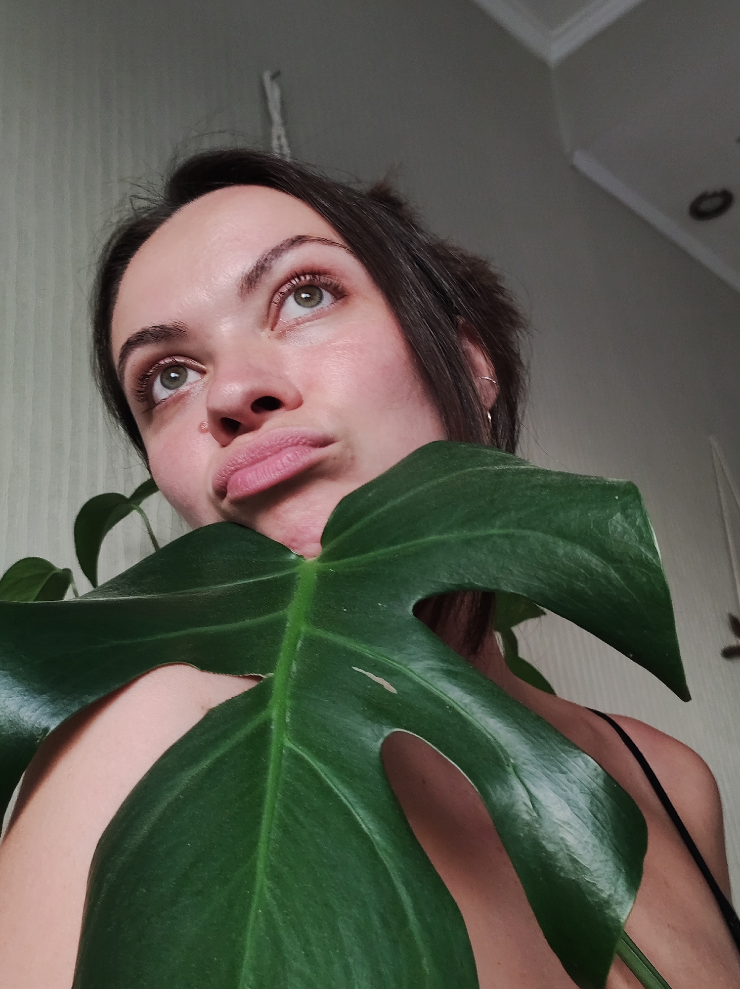 A woman with light skin and dark hair is holding a large, green monstera leaf in front of her. She is looking upwards with a slightly pouting expression. Her eyes are light-colored. A small earring is visible in her left ear. She is wearing a black tank top. The background consists of a light-colored, textured wall and a portion of the ceiling with a light fixture. The location appears to be indoors. There is no indication that this image was taken in the city of Chaikovsky, Russia.