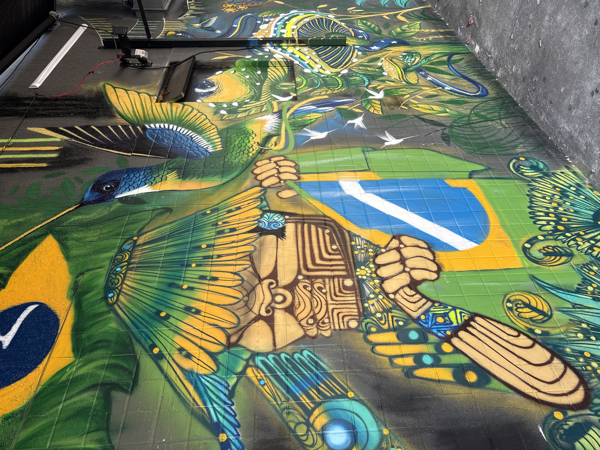 This is a mural painted on the exterior wall of a building in São Paulo, Brazil, specifically in the Vila Madalena neighborhood, known for its street art. The mural depicts a vibrant and colorful scene, predominantly featuring elements of Brazilian nature and national symbols.
The left side of the mural prominently displays a stylized representation of the Brazilian flag, with its green background, yellow diamond, and blue circle containing white stars. Superimposed over this is a large, ornate headdress or headdress element, rendered in shades of brown and yellow, with intricate geometric patterns and circular motifs. This headdress appears to be part of a larger figure, suggested by the hand holding a spear-like object with a blue and yellow patterned grip.
Dominating the upper half of the mural is a large hummingbird with iridescent blue and green plumage, its wings spread. It is positioned as if hovering or flying, with its long beak extended. To the right of the hummingbird, a lizard or snake-like creature is depicted, coiled amongst lush green foliage and yellow flowers. The foliage itself is rendered in various shades of green, with hints of yellow and blue.
The mural is painted on a brick wall, and the texture of the bricks is visible through the paint. The overall style is illustrative and dynamic, with bold colors and energetic lines. The composition is dense, with overlapping elements and a sense of depth. The ground below the mural is a concrete sidewalk, which appears to be somewhat worn. A metal conduit and a light fixture are attached to the wall above and to the right of the hummingbird. The scene suggests a celebration of Brazilian biodiversity and cultural identity.