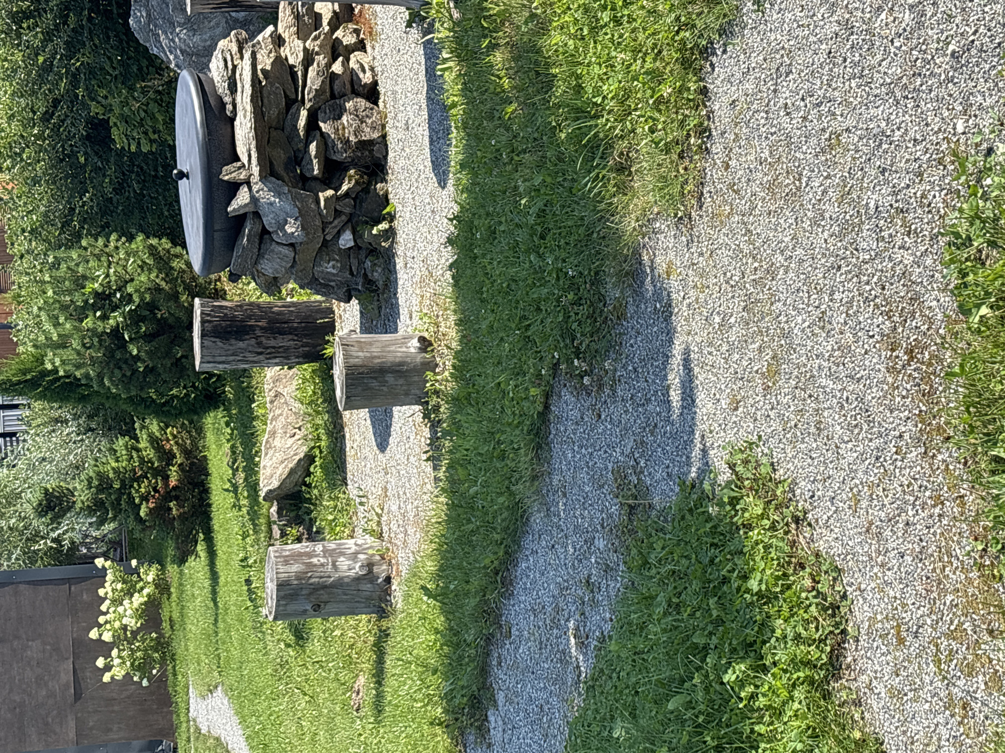 This image depicts an outdoor scene in Zvenigorod, Russia. The foreground features a gravel pathway winding through lush green grass. Several tree stumps are positioned in a rough circle on the pathway, suggesting a seating area. In the mid-ground, a large, dark-colored cauldron-like object with a lid sits atop a stack of stones. Behind this, various evergreen trees and bushes form a dense backdrop, with a building structure visible to the far left. The lighting suggests it is daytime, with shadows cast on the ground from the trees and stumps.