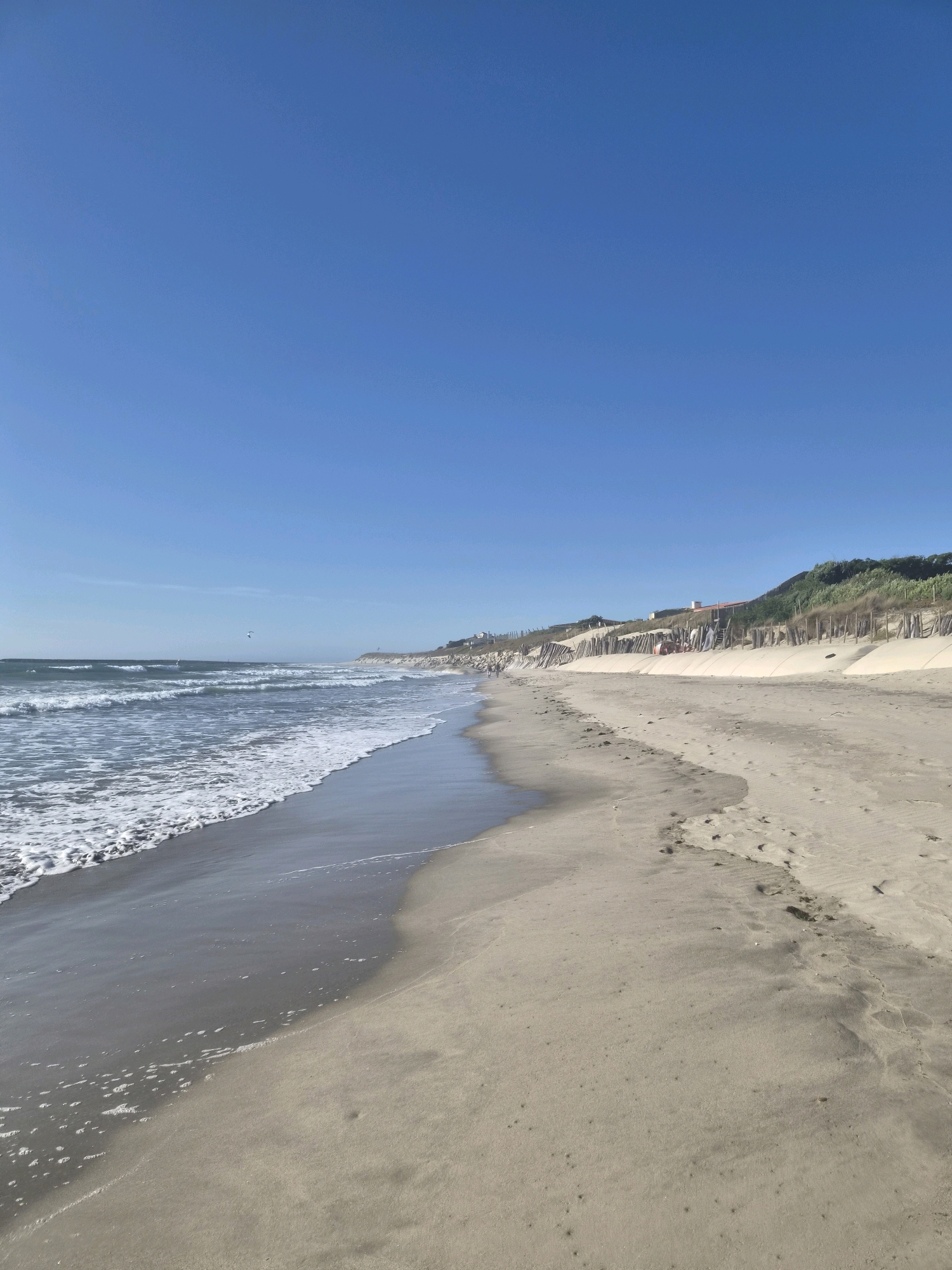 The image depicts a wide, sandy beach with gentle waves lapping the shore under a clear blue sky. The beach is located in Esposende, Portugal, and appears to be a natural coastal environment. In the distance, a line of dunes with sparse vegetation and some wooden structures, possibly fences or barriers, separates the beach from what appears to be a residential area with scattered buildings. A few people are visible on the beach and near the dunes, some walking and others relaxing. The overall scene is tranquil and characteristic of a sunny day at the coast.