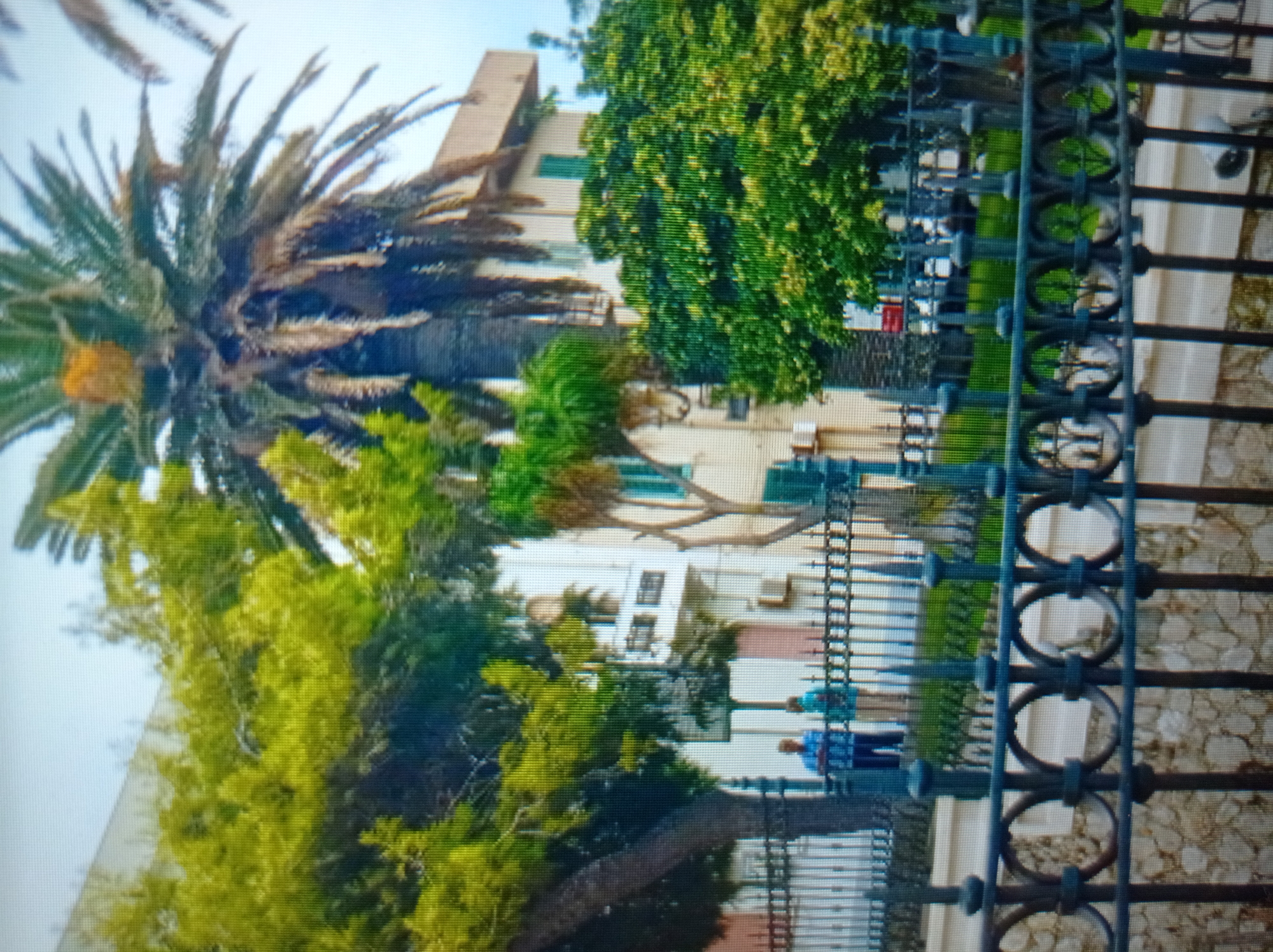 A low-angle, blurry, eye-level shot captures a street scene with lush vegetation and a building. In the foreground, a black wrought-iron fence with circular patterns separates the viewer from a grassy area. Behind the fence, two individuals stand near a building. One person, wearing a blue shirt and dark pants, stands on the left. To their right, another person in a teal shirt and tan pants faces away from the camera. Behind the individuals, a multi-story building with balconies and air conditioning units is visible. A large palm tree dominates the upper right portion of the frame, with its fronds reaching towards the sky. Other trees with vibrant green foliage fill the midground and frame the building. The overall impression is a sunny day in a possibly urban environment. This scene is not located in Mukachevo, Ukraine.