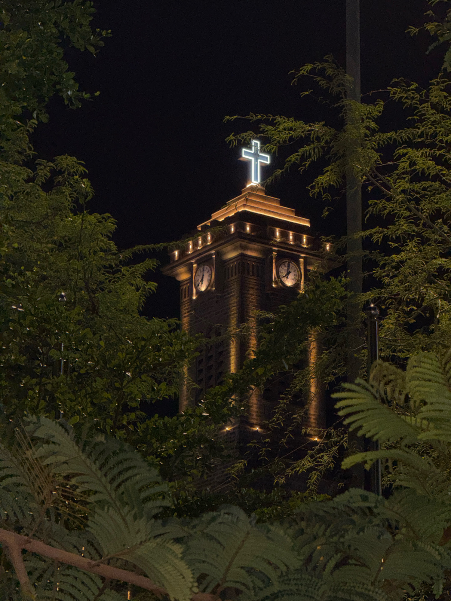 The image shows a close-up view of the tower of Nha Trang Cathedral at night, as seen through lush green foliage. The tower is made of brick and is illuminated by warm, yellow lights that highlight its architectural features. A neon cross, glowing in a bright blue-white light, sits atop the tower. Two clock faces are visible on the tower, one on each side, showing approximately 5:05. The surrounding environment is dark, with the blackness of the night sky serving as the backdrop. The foreground is filled with the dark green leaves of trees and ferns, creating a framing effect around the tower. The overall impression is one of a solemn and illuminated structure against a natural, nocturnal setting.