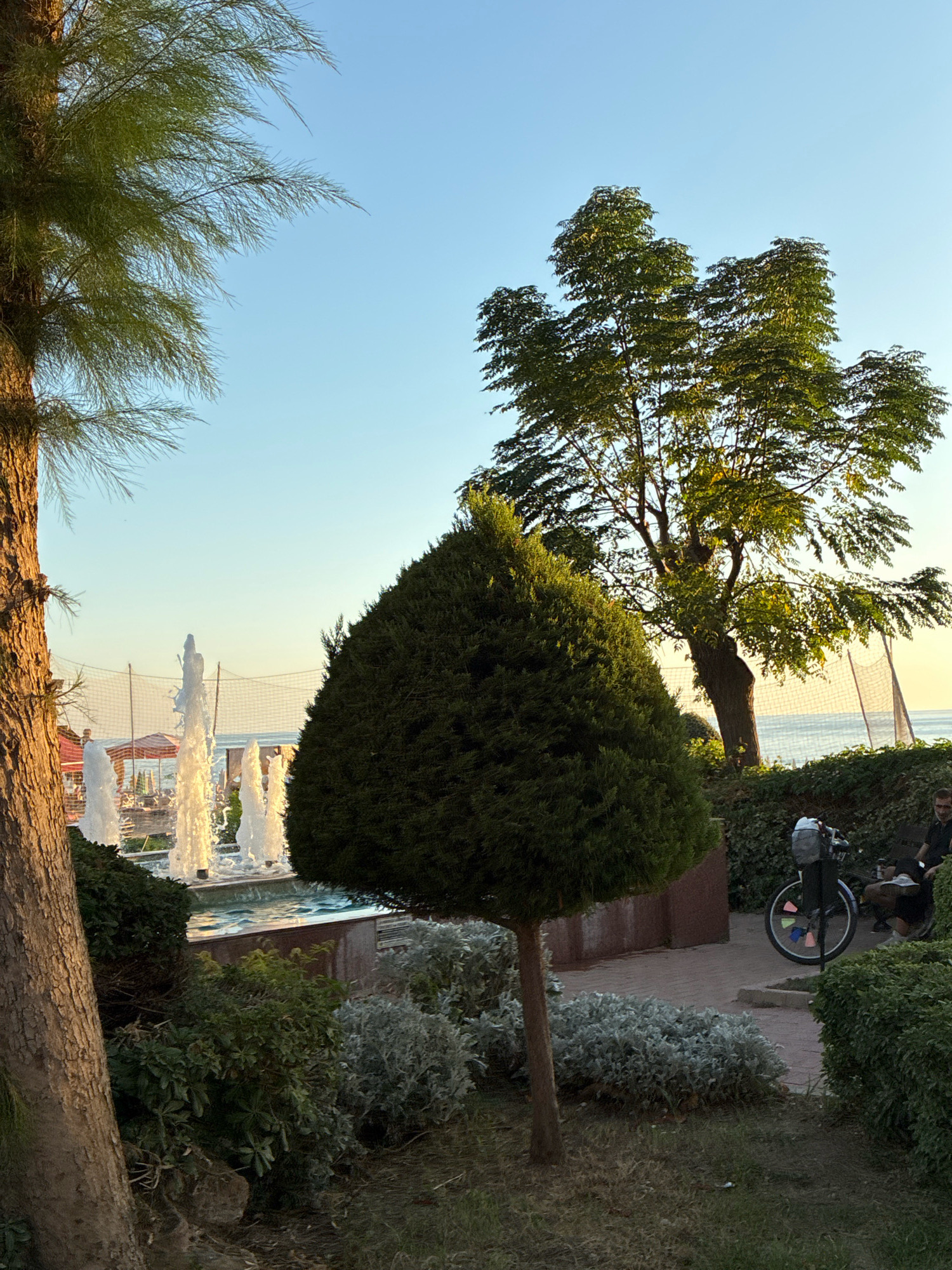 A park scene near the sea in Alanya, Turkey features a fountain with water jets spraying into the air. A conical evergreen tree is in the foreground, with a larger, leafy tree behind it. To the right, a person is seated next to a bicycle. In the background, a net is visible, possibly for a beach sport, and the sea stretches to the horizon under a clear, light blue sky. The lighting suggests late afternoon or early evening.