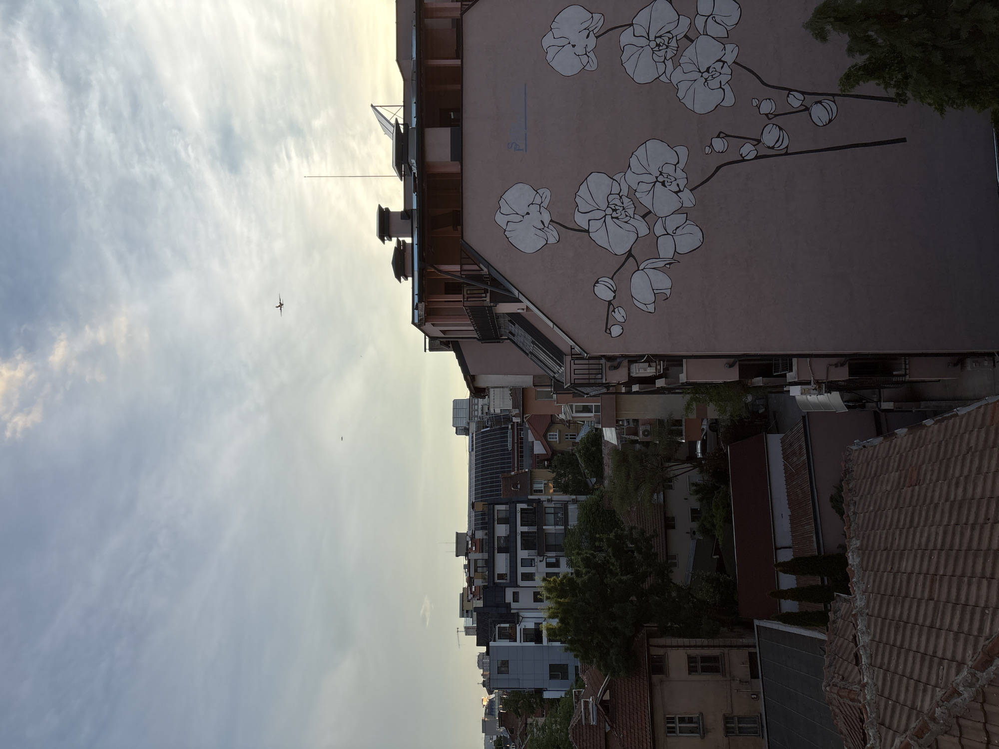 The image captures a cityscape in Sofia, Bulgaria, with a focus on buildings and the sky. In the upper portion of the image, two airplanes are visible, one at a higher altitude and another at a lower altitude. The sky is filled with wispy clouds, suggesting it is either early morning or late afternoon.
The foreground of the image is dominated by rooftops of buildings, some with terracotta tiles and others with modern construction. The midground features a variety of buildings, including a multi-story structure with a large mural of white orchids painted on its pink facade. This building also has balconies and chimneys visible on its roof. Adjacent to it are other residential and commercial buildings of varying architectural styles and heights, interspersed with trees.
The background shows a denser urban landscape with taller buildings, indicative of a city center. The overall impression is a typical urban environment during a period of soft lighting. The image appears to have been taken from an elevated position, likely a higher floor of a building, looking out over the city.