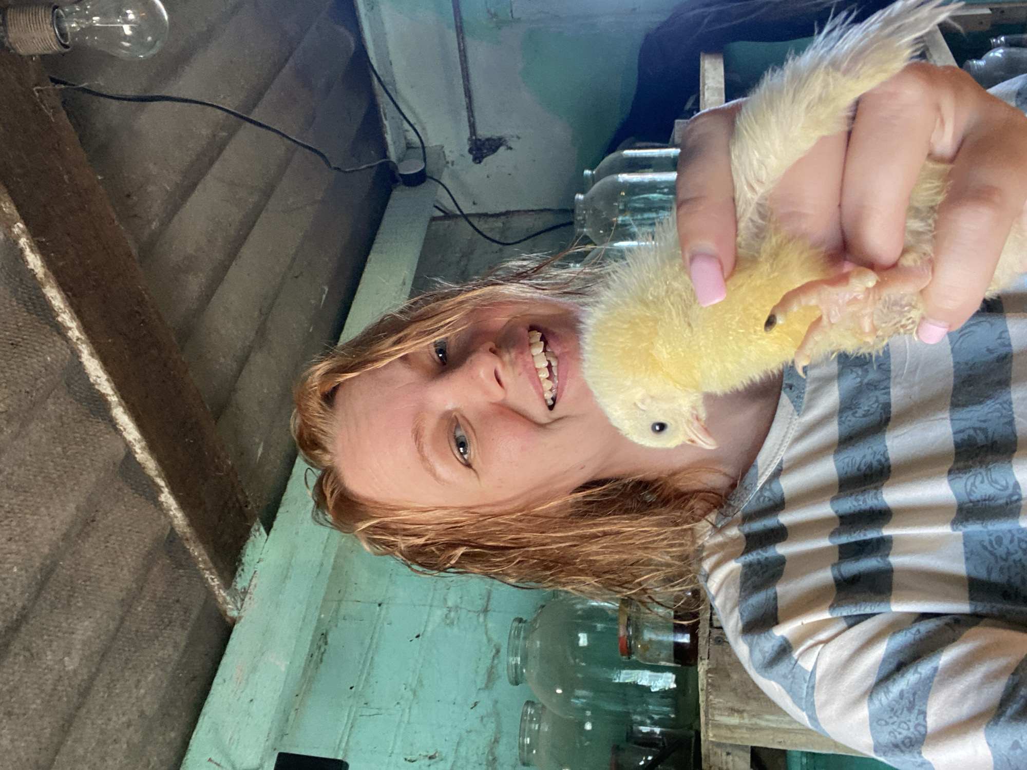 The image shows a woman holding a yellow chick. The woman has reddish-blonde hair and is smiling at the camera. She is wearing a striped t-shirt. The chick is fluffy and has light yellow down. In the background, there are large glass jars on a wooden shelf, and the walls are painted a teal color. The ceiling appears to be made of corrugated material. A lightbulb hangs from a wire above. The scene appears to be indoors, possibly in a barn or shed. The location is identified as Kisliakovskaya, Russia.