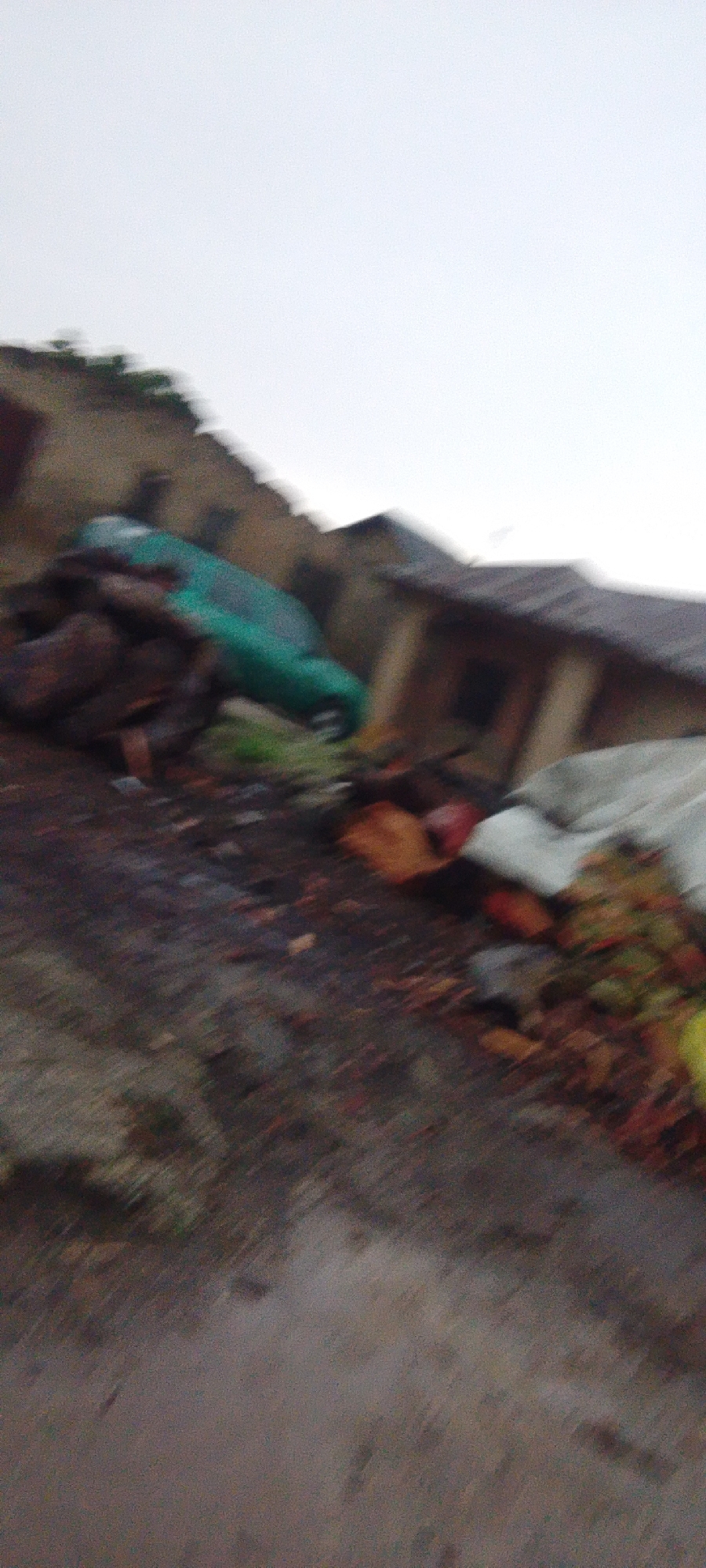 An extremely blurry, overcast daytime image depicts an outdoor scene in the city of Unknown, Unknown. In the mid-ground, a bright green car is visible, tilted on its side. The car appears to be partially obscured by what looks like a pile of dark, wooden logs. In the background, structures resembling houses with peaked roofs are discernible. The ground in the foreground and mid-ground is dark and appears wet, with scattered debris, including what looks like fallen leaves and possibly some colorful produce like red and green apples. The overall impression is one of disarray and possibly an area affected by a storm or natural disaster. There are no people visible in the image.