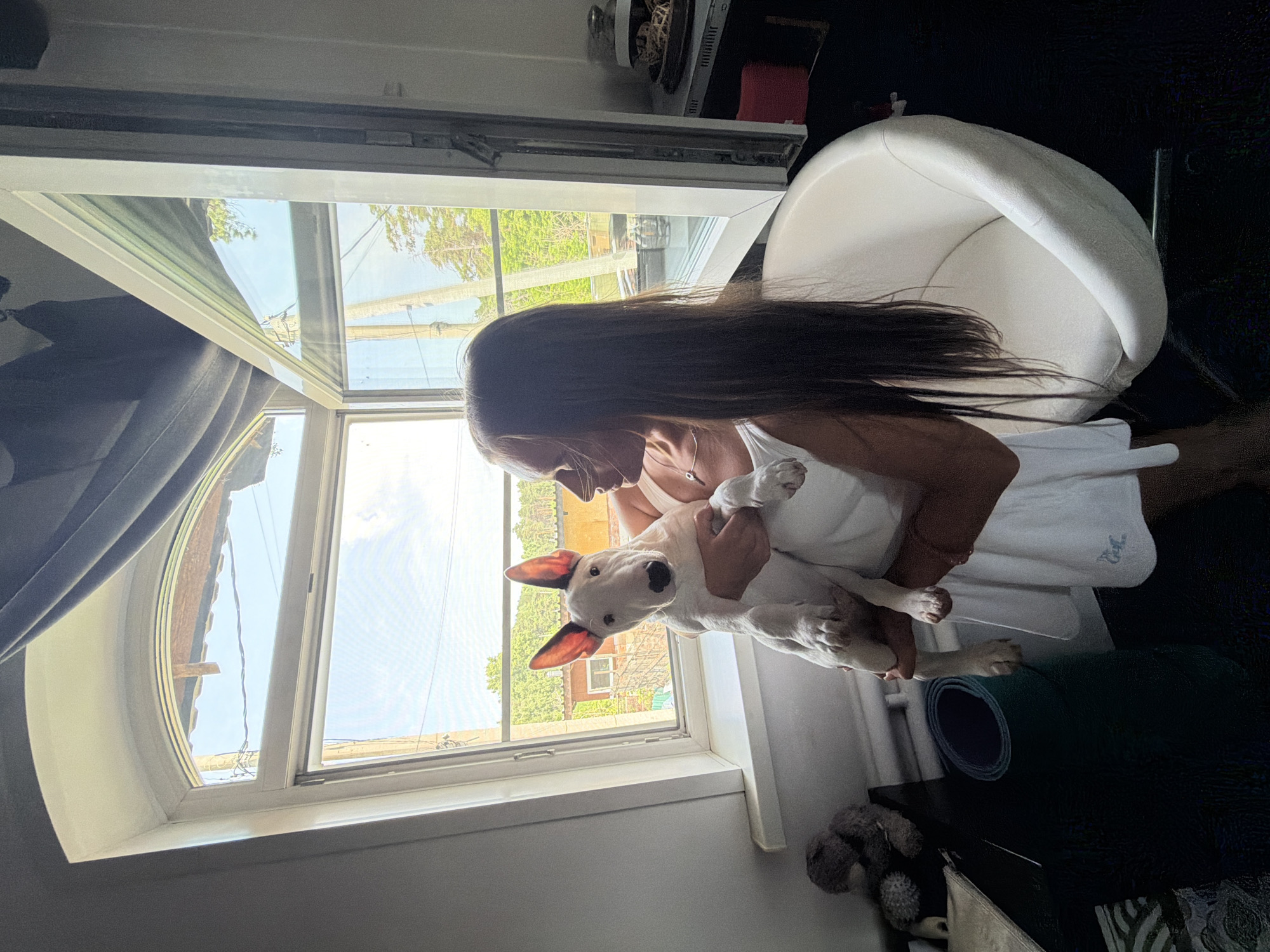 A young woman with long, dark brown hair is holding a white bull terrier puppy in front of an open window. The woman is wearing a white dress. The puppy has large, erect ears and is looking towards the camera. The window is large and arched at the top, with a white frame. Outside the window, there are trees and a clear blue sky with some clouds. The scene appears to be an interior room with a white chair visible to the right. To the left of the window, on a dark surface, there is a stuffed animal and a rolled-up mat. The lighting suggests it is daytime. The location is described as Novosibirsk, Russia.
