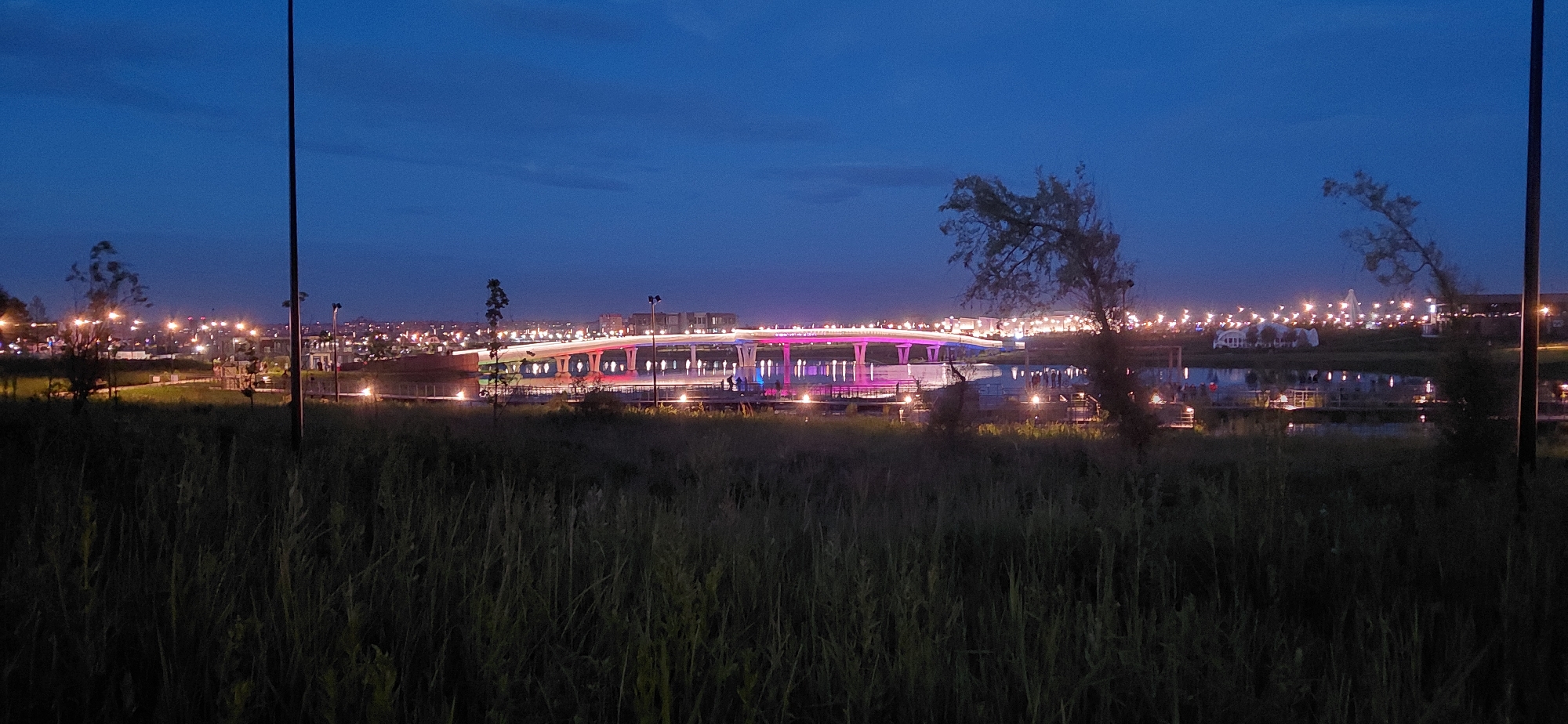 The image captures a twilight scene in Magnitogorsk, Russia, focusing on the illuminated "The Bridge of Lovers" (Most Vlyublennykh) spanning a body of water. The bridge is a prominent subject, featuring a modern design with vibrant pink and purple lighting illuminating its structure and reflecting onto the water below. Several lights are also visible along the bridge's walkway, suggesting pedestrian activity. In the foreground, tall, dark green grasses and reeds dominate, creating a natural barrier and obscuring the immediate ground. The middle ground shows a water body, likely a river or canal, with reflections of the bridge and surrounding lights. Various structures, including buildings and possibly tents or event spaces, are visible in the background, illuminated by numerous orange lights, suggesting a developed urban area. The sky is a deep blue, characteristic of dusk or early night, with subtle cloud formations. Two dark, vertical poles are visible on the left and right edges of the frame, likely lampposts or utility poles, further framing the scene. Two silhouetted figures are standing on the bridge, adding a sense of scale and human presence.