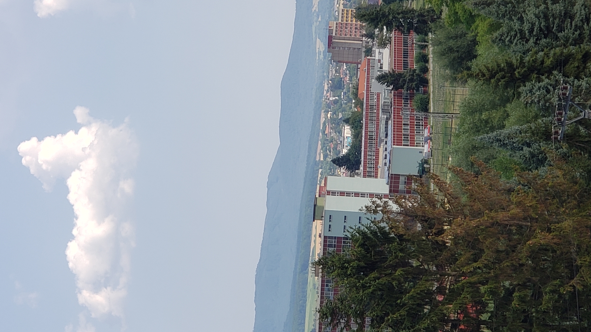 The image shows a panoramic view of Prešov, Slovakia, on a clear day. In the foreground, lush green trees are prominent, with one tree in the center appearing somewhat dry and brown. Behind the trees, a large, multi-story building with a red and white facade is visible. Further in the background, more buildings, including residential structures and a taller, beige building, dot the landscape. In the distance, rolling hills and mountains form a hazy blue backdrop against the pale blue sky, where a single, distinct white cloud is present. The overall scene depicts a suburban or semi-urban area with a blend of natural and built environments.