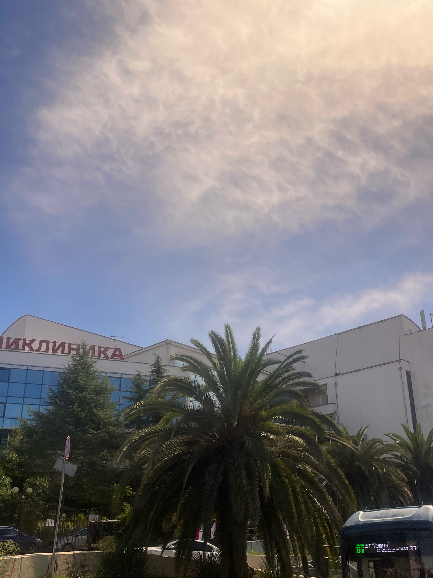 The image captures a street scene in Sochi, Russia, featuring a modern building with blue glass windows and red lettering that reads "ЦИКЛИНИКА" (Clinic). Palm trees and evergreen trees are visible in front of the building. A bus with illuminated green text indicating route information is positioned on the right side of the frame. The sky above is partly cloudy with a bright, hazy sun. Several cars are parked or driving on the street. The overall impression is that of a sunny day in a coastal urban environment.