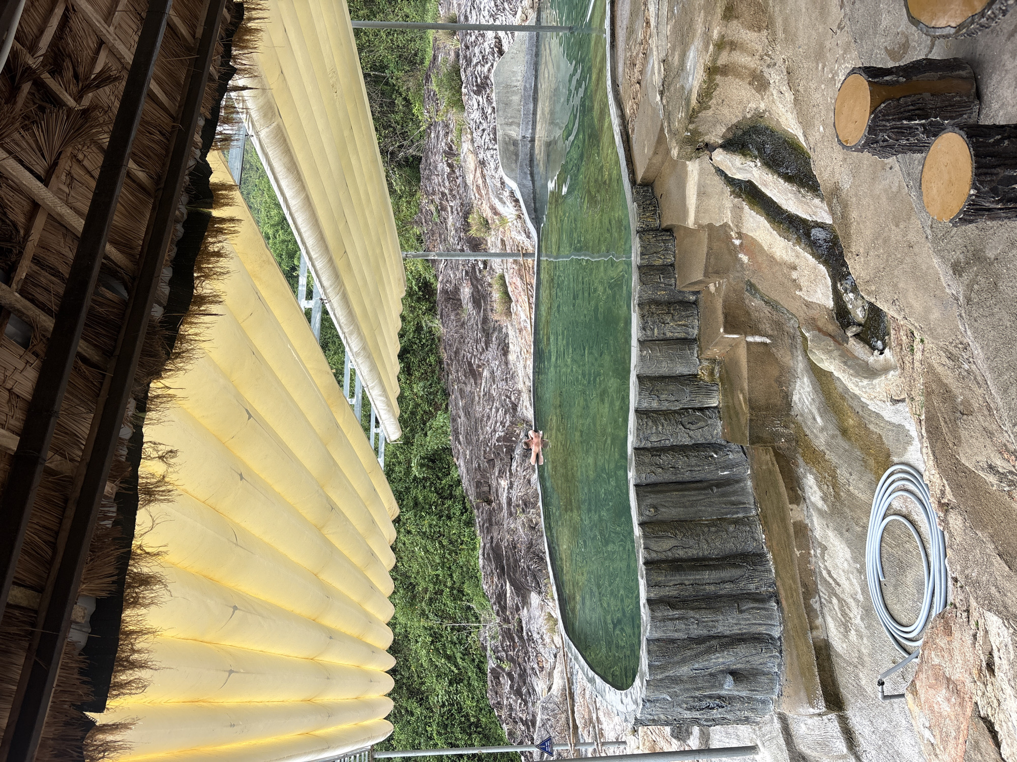 The image depicts a narrow, green-tinted swimming pool nestled between a rocky cliff face covered in lush vegetation and a concrete patio area with decorative log stools. A small figure is visible in the pool. A thatched roof overhangs a portion of the scene, while a coiled gray hose is mounted to the patio's concrete surface. The location is suggested to be in Khanh Vinh, Vietnam.