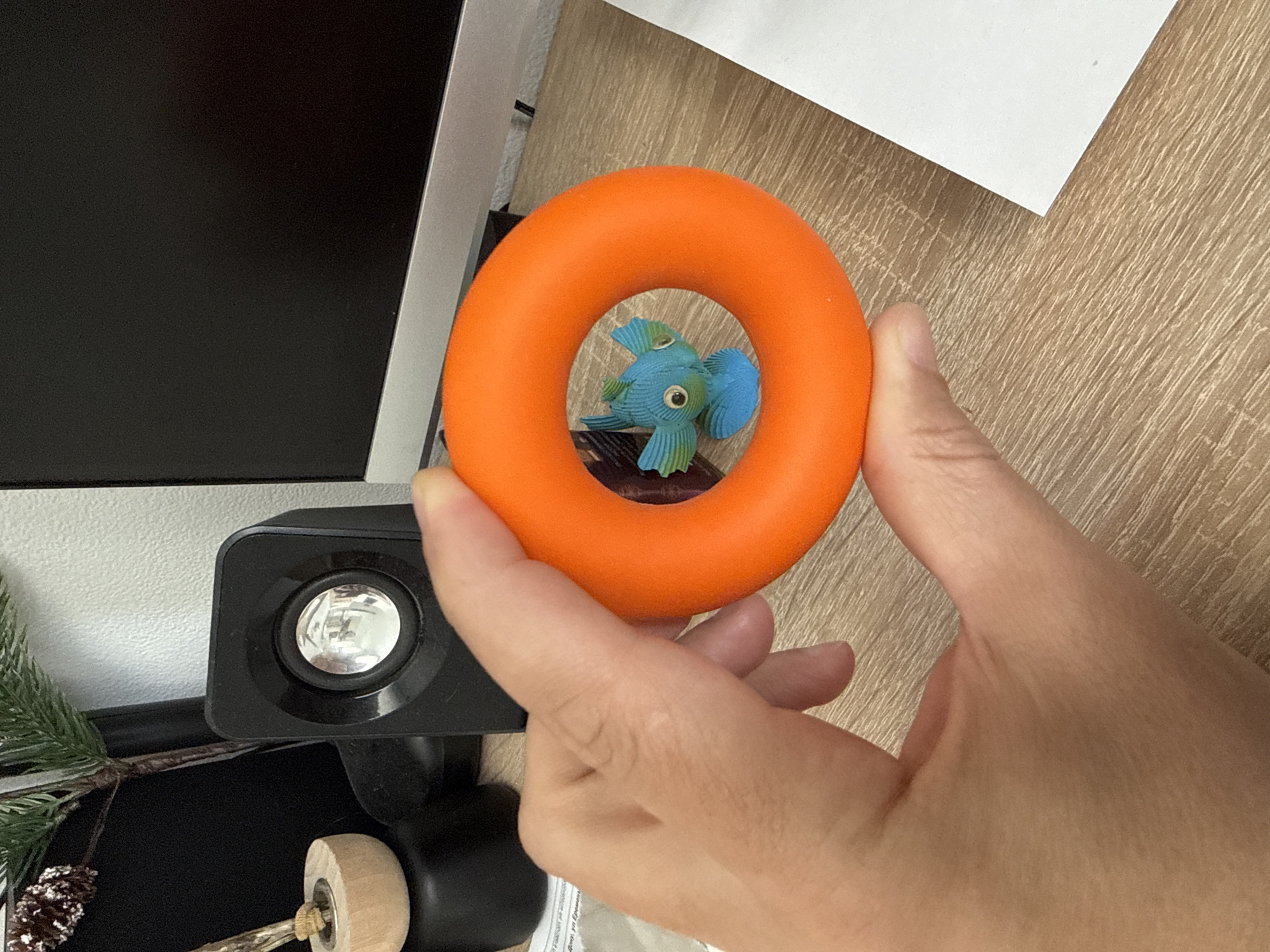 A person holds an orange ring in front of a blue toy fish. The person's hand is fair-skinned. The ring is matte. The fish has blue fins and green scales. The background includes a computer monitor, a desk with a wood grain pattern, and a webcam. A piece of paper rests on the desk. A small pinecone and artificial branch are visible near the webcam. The scene does not appear to be located in Khapry, Russia.