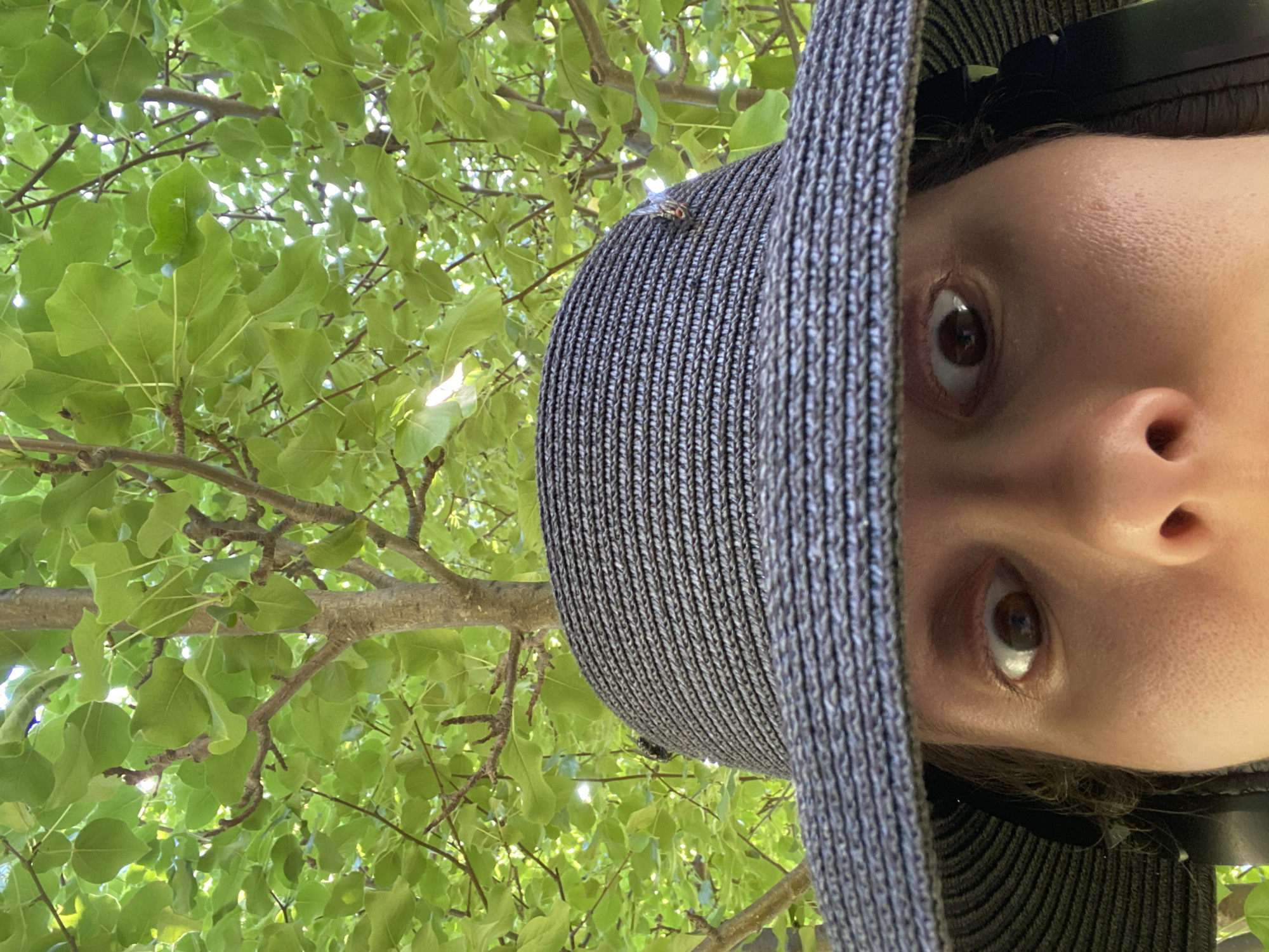 A close-up, low-angle shot shows a person wearing a dark, wide-brimmed hat, looking upwards at the camera. Their eyes are wide and a part of their nose is visible. The hat has a textured weave, and a small insect is visible on the left side of the hat's crown. Lush green leaves and tree branches fill the background, suggesting an outdoor setting, likely a park or garden in Anos, Russia, on a bright day.