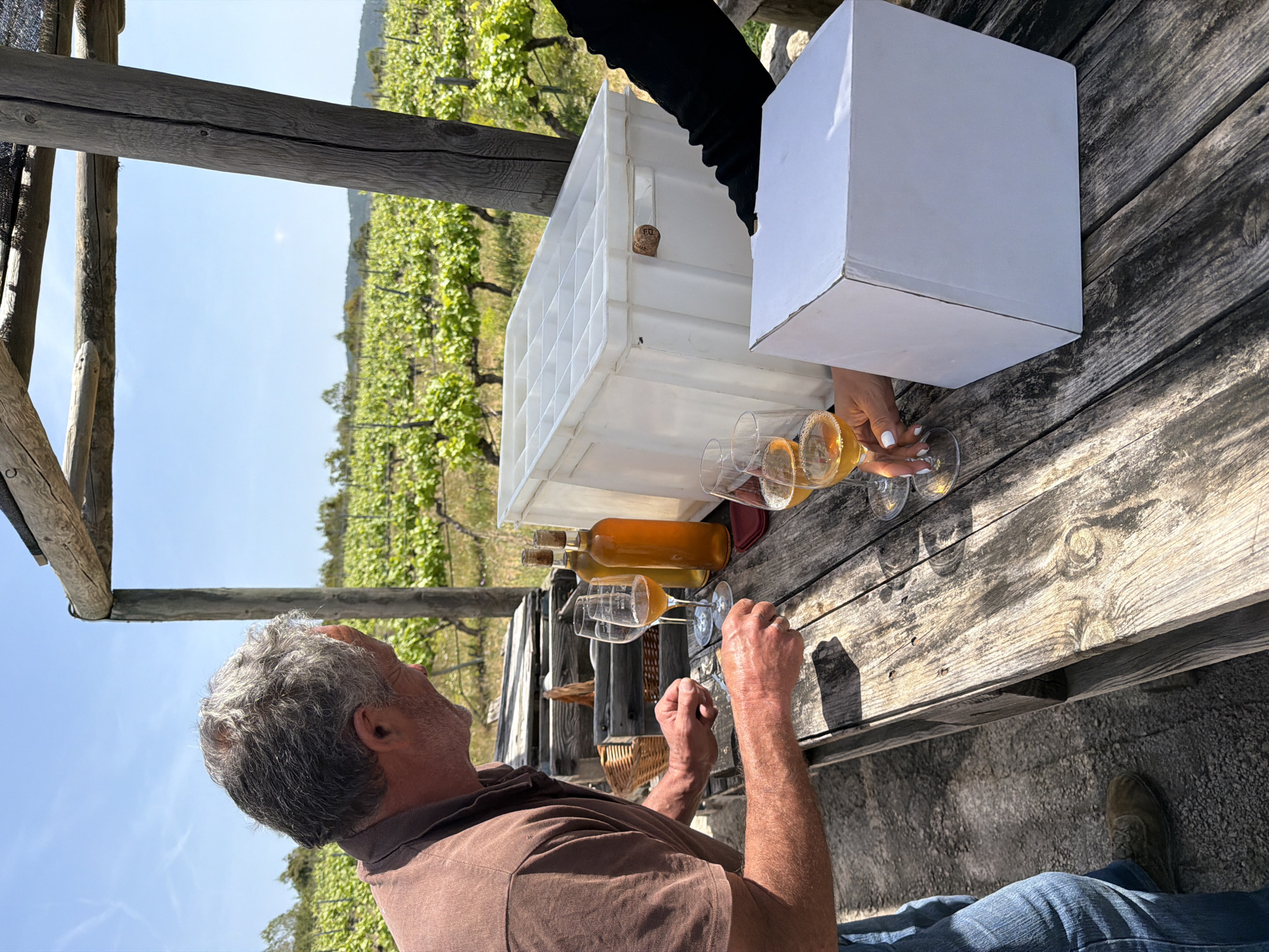 An outdoor scene captures a wine tasting experience at a vineyard in Bonastre, Spain, under a bright, clear blue sky. The image is oriented as if rotated 90 degrees clockwise, showing the scene from a slightly elevated perspective.
In the foreground, a man with gray, curly hair, wearing a brown polo shirt and blue jeans, sits at a rustic wooden table. He is mostly seen from behind, looking towards the table and the expansive vineyard beyond. His hands are resting on the table. Opposite him, partially visible, is another person wearing black clothing, whose hands with white-painted nails are either holding or setting down wine glasses filled with an amber liquid.
The wooden table is laden with items for the tasting. Several empty and filled wine glasses, along with two corked bottles containing a similar amber beverage, are arranged on its surface. A large white plastic crate with square compartments stands next to the bottles, and a plain white cardboard box is further along the table. A wine cork, with the letters "COA" faintly visible, lies near the crate. The table itself is made of weathered wood planks, showing natural wear and texture.
The background reveals neatly arranged rows of green grapevines stretching into the distance under the midday sun. Wooden support beams, likely part of a pergola or shaded structure, frame the scene around the table. The ground under the table appears to be gravel or dirt. The strong sunlight casts distinct shadows, indicating a sunny day. The overall atmosphere suggests a relaxed and enjoyable occasion amidst nature.