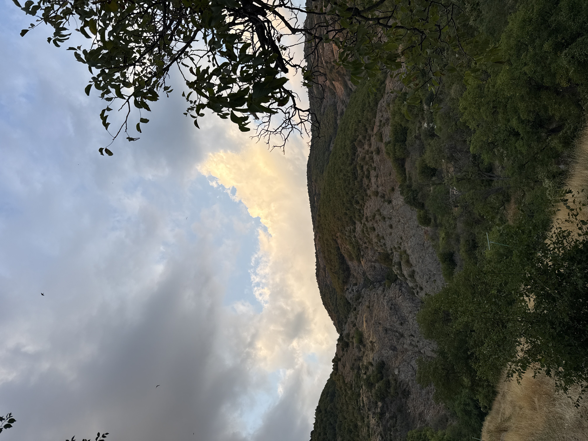 The image depicts a mountainous landscape with a cloudy sky. In the foreground, on the right side, a tree branch with green leaves extends into the frame. The middle ground features a steep, rocky hillside covered with sparse vegetation and some trees. In the background, the sky is filled with a mix of dark and light clouds, with a patch of brightly lit clouds on the right side, suggesting the presence of the sun behind them. The overall scene conveys a natural, somewhat rugged environment. This location is in Sopot, Bulgaria.