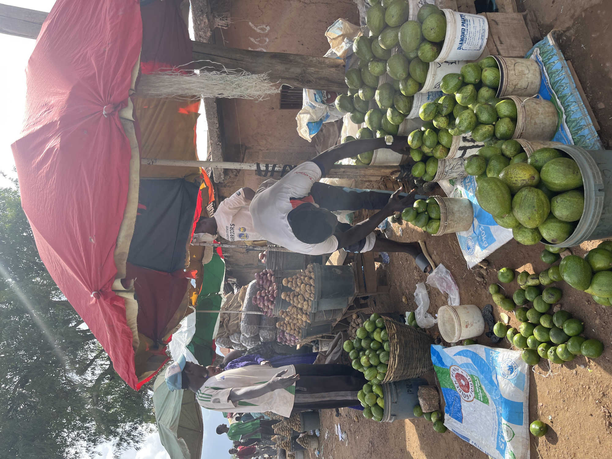 This media file captures a vibrant outdoor market scene in Jos, Nigeria. The primary subjects are several individuals, presumably vendors and customers, interacting within the bustling marketplace.
The scene is dominated by an abundance of fresh produce, predominantly green avocados piled high in buckets and baskets, and some onions in buckets. The fruits and vegetables are the central objects, displayed in a rustic and informal manner, typical of a local market. A large red tarp provides shade for one of the stalls.
The overall activity is commerce, with people engaged in what appears to be the selling and buying of goods. The lighting suggests it is daytime, possibly morning or afternoon, with natural sunlight filtering through. The environment appears to be dusty and unpaved, consistent with an outdoor market setting in Nigeria.
Notable details include bags with visible text, such as "50kg" and "DIAMOND PAINT" on one of the buckets, indicating the origin or branding of some items. Another bag has "GOLDEN STATE WARRIORS" printed on it. The people are dressed in casual clothing, with one individual wearing a white t-shirt with "GOLDEN STATE WARRIORS" printed on it. The overall atmosphere appears lively and active, with no obvious signs of distress or negative emotions. The presence of trees in the background suggests the market is situated in an area with vegetation.