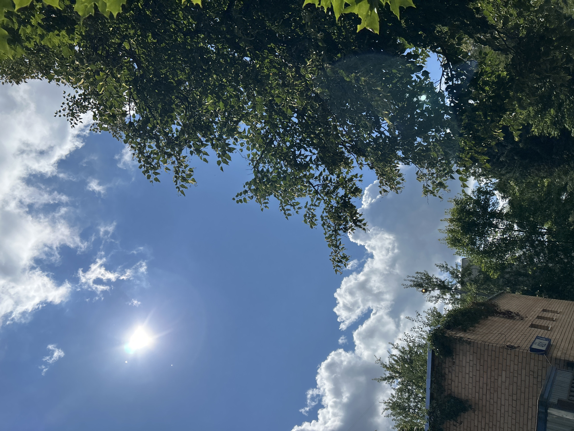 The image depicts a bright, sunny day with a clear blue sky and fluffy white clouds. A sun glare is visible in the upper left quadrant. Lush green foliage from trees dominates the right side of the frame. In the lower left corner, a brick building with ivy growing on its side is partially visible. A street sign with "4921" is attached to the building. Various trees and vegetation are visible in the background, including a streetlamp. The scene appears to be an outdoor urban environment in Zelenograd, Russia, likely during daytime. No people or active interactions are present.