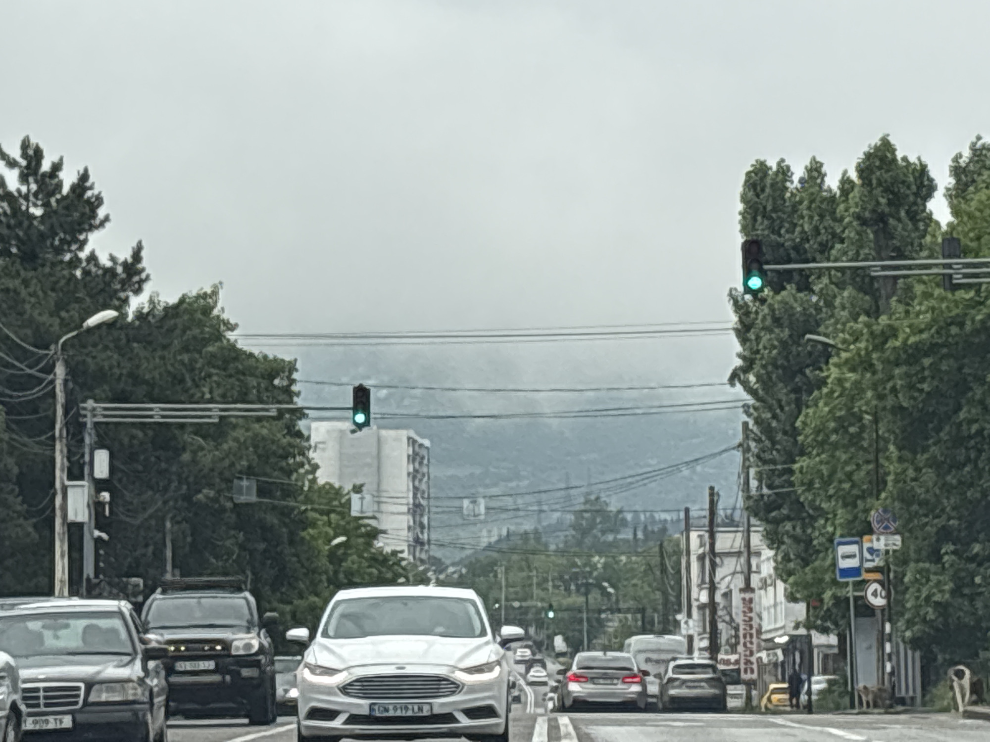 The image depicts a street scene in Tbilisi, Georgia, likely during daytime with overcast skies, as indicated by the muted lighting and hazy atmosphere. The perspective is from inside a vehicle, looking forward down a multi-lane road lined with trees.
In the foreground, several cars are visible. On the left, a dark-colored sedan with a license plate containing "909 TF" is partially shown. Next to it is a black SUV, possibly a Toyota Land Cruiser Prado, with a roof rack and a license plate that appears to read "KY 501 SU". In the center of the road, a white Ford Fusion is prominent, its headlights illuminated, and a license plate starting with "GN 919 LN". Other vehicles are further down the road, including a white van on the far right and several cars behind the Ford Fusion, some of which are silver or gray.
The environment features mature, dense green trees on both sides of the road, creating a canopy effect. Streetlights and utility poles are present. Traffic signals are visible; one is showing a green light above the trees on the left, and another is also green further down the road. In the background, modern buildings, including a multi-story white structure, are interspersed with the greenery. Beyond the buildings and trees, a hazy, mountainous landscape is visible, suggesting a location at the edge of the city or near a natural area. The road surface appears to be asphalt. A few pedestrians are faintly visible on the right side of the road, near a bus stop sign and a speed limit sign indicating 40. There are also at least two stray dogs in the foreground on the right side of the street.