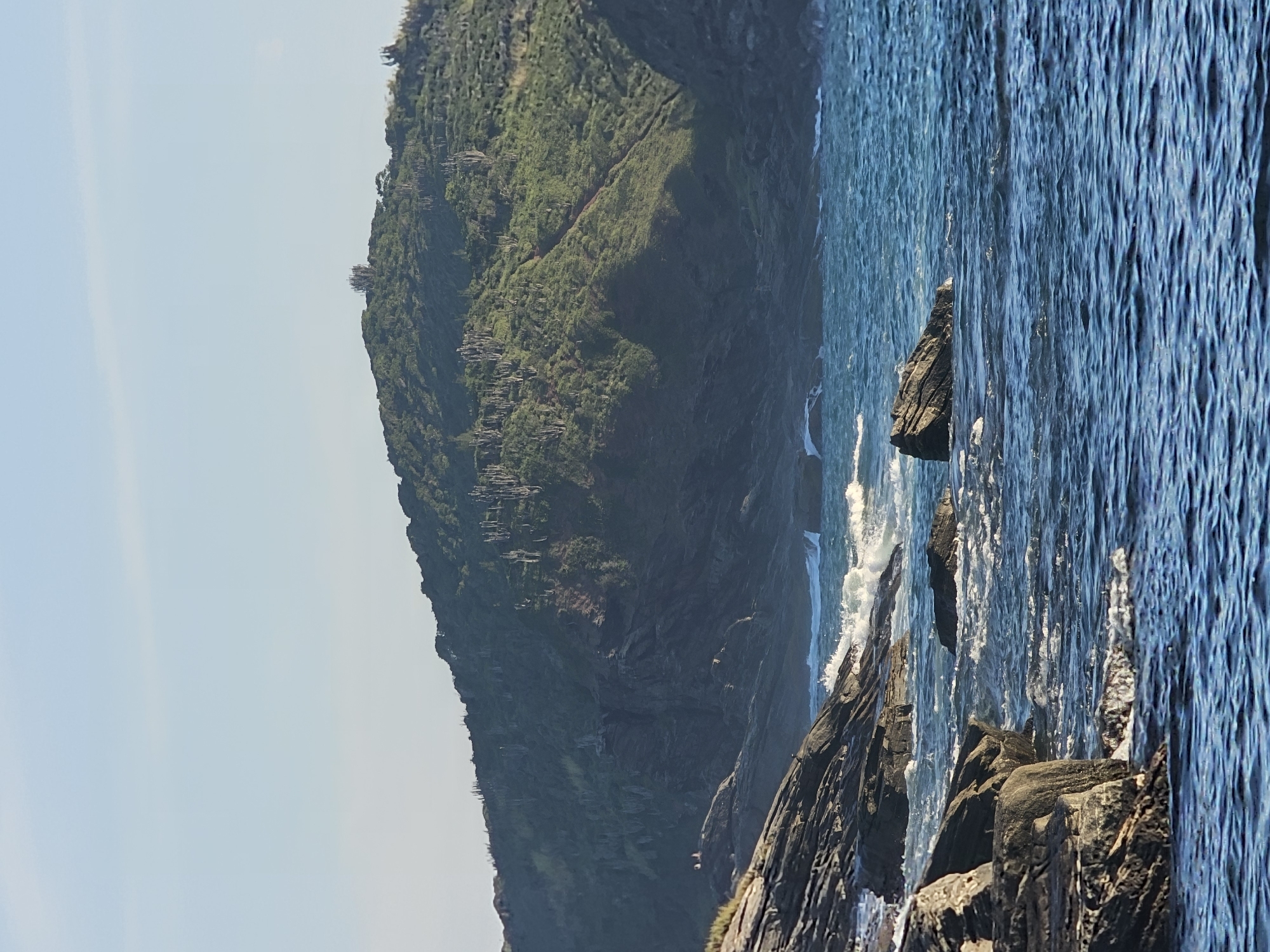 The image depicts a coastal scene in Armação dos Búzios, Brazil. A verdant, steep hill covered with trees rises on the left side of the frame, sloping down to the ocean. The clear blue sky is visible above the hill. On the right side, the ocean waves crash against the dark, jagged rocks that form the shoreline. The water appears a deep, rippled blue. The shot is taken from a relatively close distance, providing detail of the rocky shore and the vegetation on the hillside.