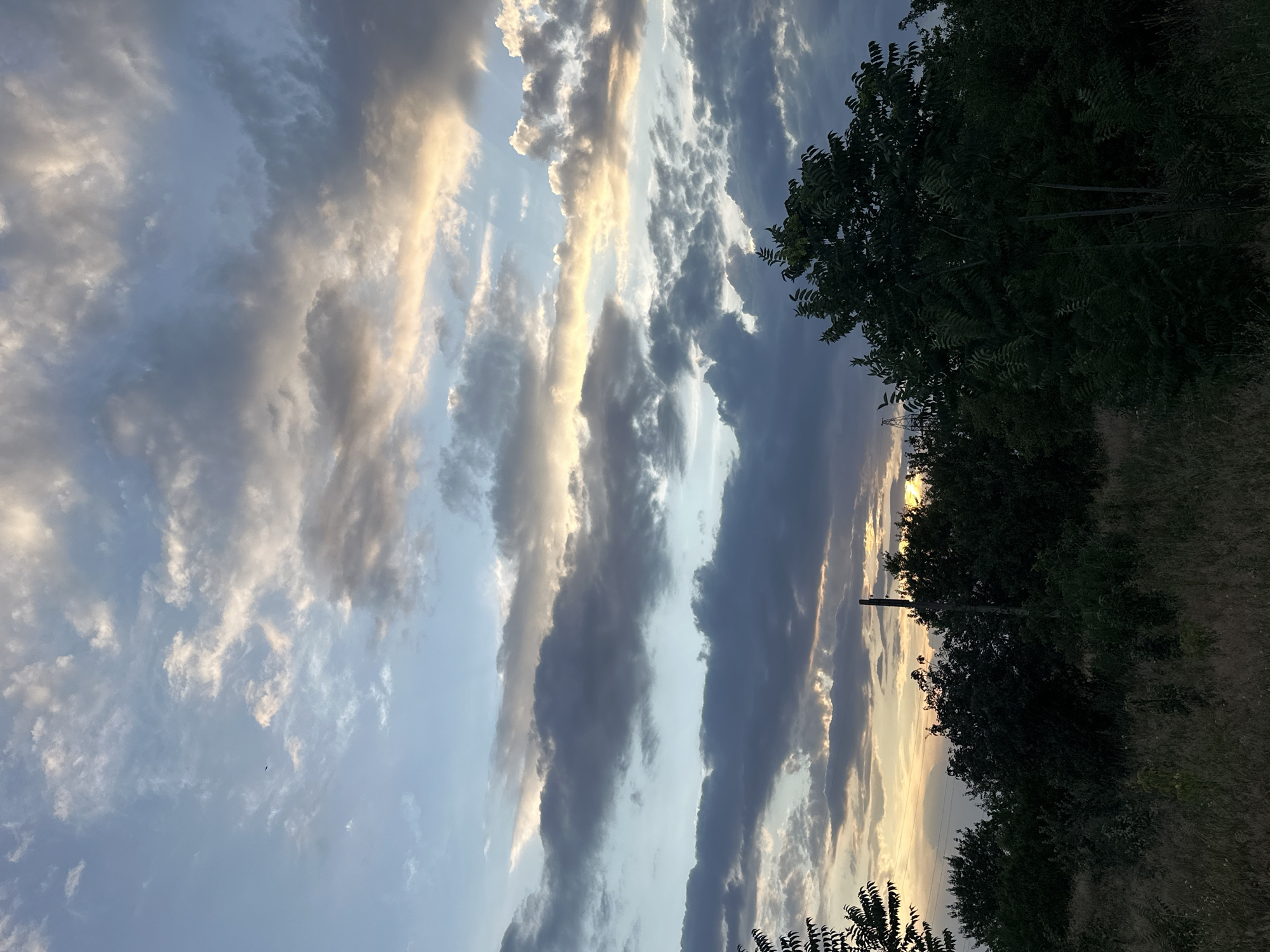 The image shows a cloudy sky at dusk, with the sun setting on the horizon. The sky is filled with a mix of dark gray and lighter, warmer-toned clouds, suggesting the last rays of sunlight are breaking through. Below the sky, there is a dense line of trees and vegetation, silhouetted against the sky. The foreground consists of dry grass and a few small plants. The overall scene is one of a natural landscape at the end of the day. There are no people or specific man-made structures visible in detail, though a faint utility pole and some power lines can be discerned in the middle ground.