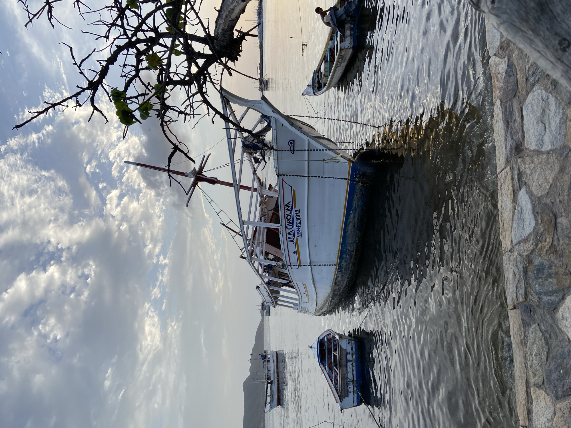 In Juan Griego, Venezuela, a harbor scene unfolds under a cloudy sky at dusk. The foreground features a rough stone embankment leading to calm, rippling water. Several boats are anchored offshore. A large white vessel with blue trim, named "JULIA CAROLINA," is prominently positioned, its hull weathered and its superstructure partially open. To its left, a small, weathered blue and white rowboat is tied to the large vessel. To the right of the "JULIA CAROLINA," another smaller boat is occupied by a person leaning over an outboard motor. In the middle ground, a white fishing boat with a red stripe is anchored further out. In the background, more boats and landmasses, likely hills or mountains, are visible under the hazy sky, with a hint of sunset glow on the horizon. A silhouetted tree with bare branches extends into the frame from the upper right, casting a shadow over the scene. The overall impression is one of a working harbor at the end of the day.