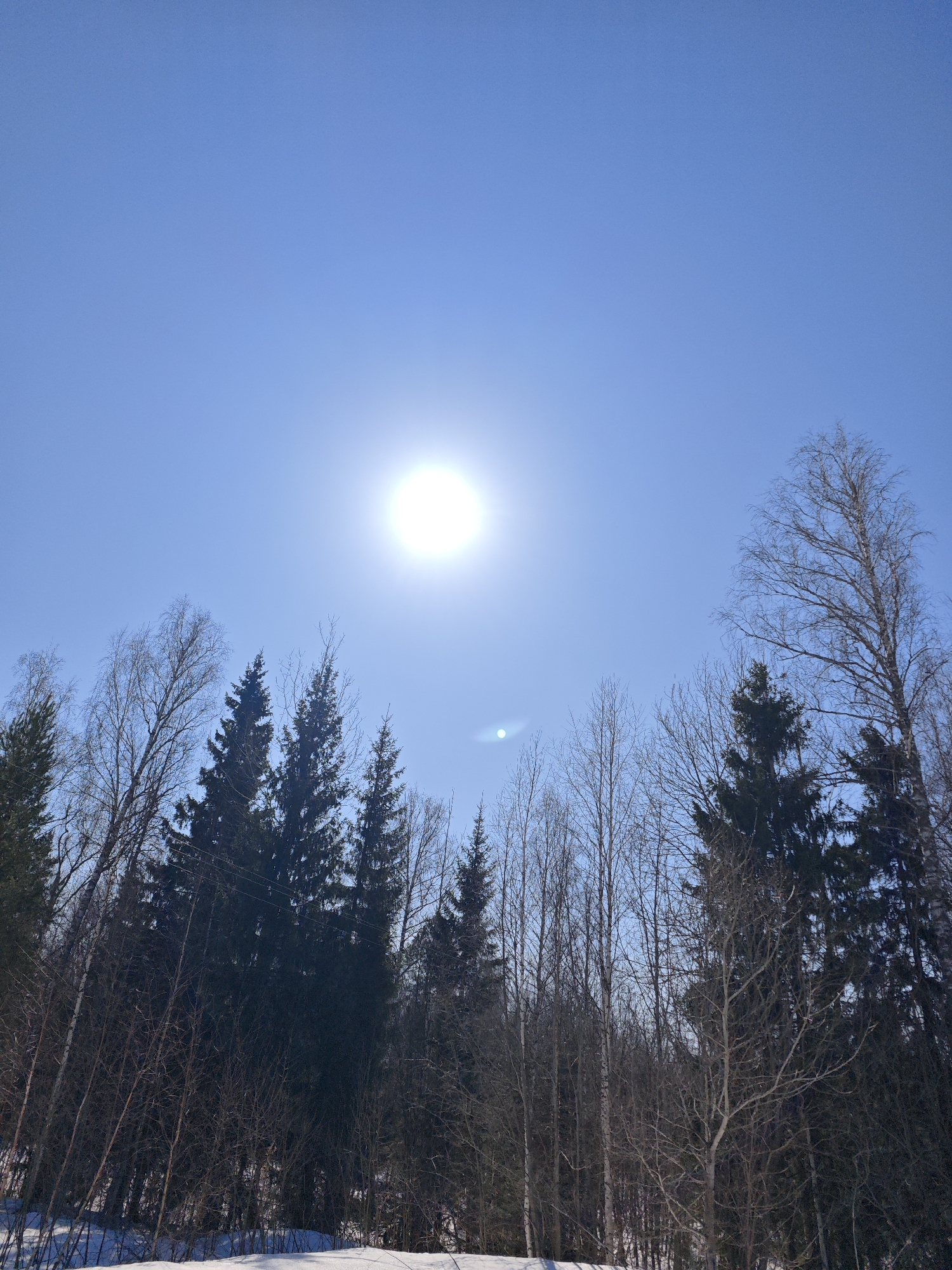 The image shows a bright, cloudless sky with the sun positioned near the center. Below, a forest with a mix of coniferous and deciduous trees is visible. Some snow is present on the ground. The location is Марковский, Russia.
