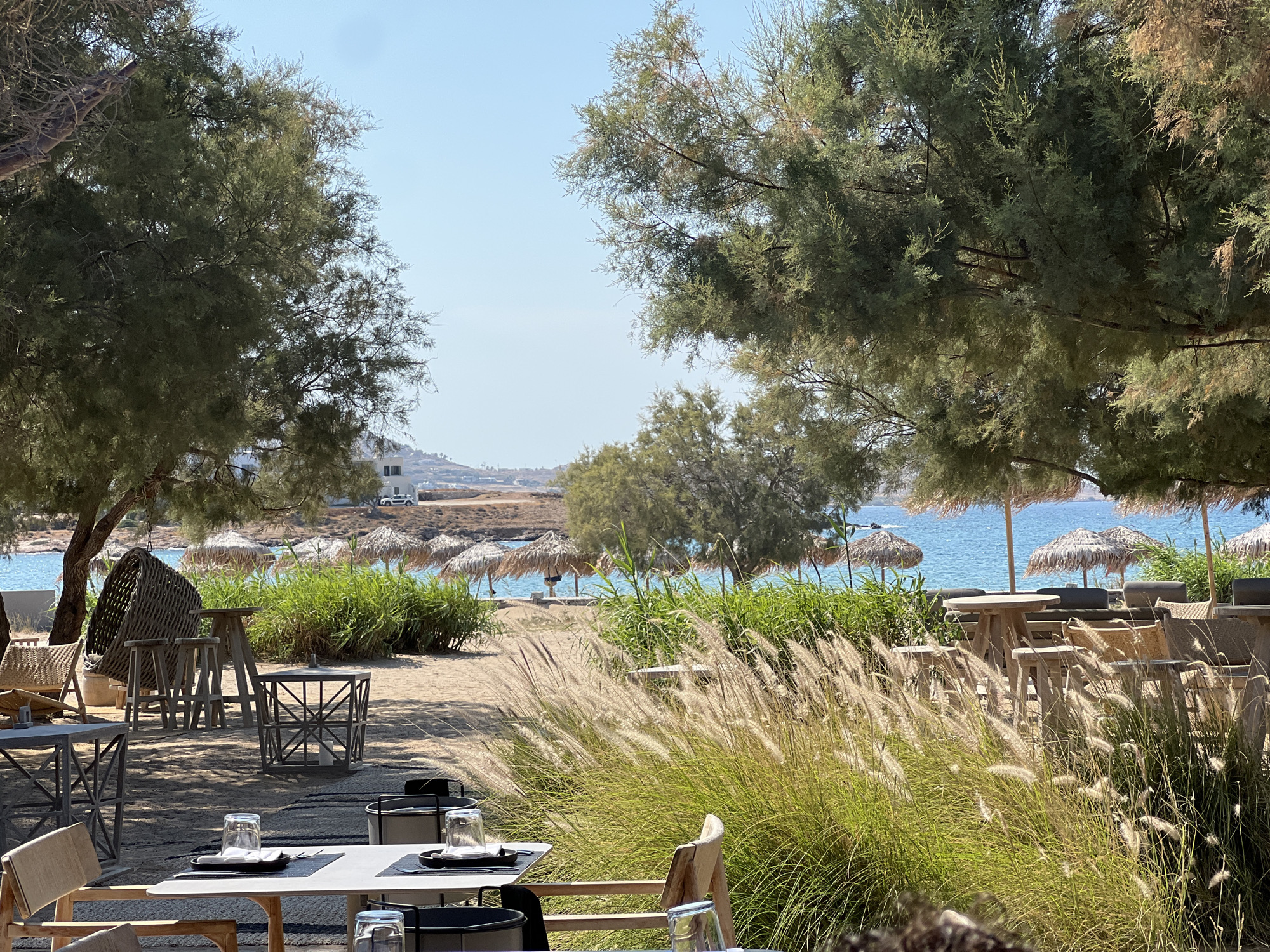 This image depicts a beachside restaurant in Naousa, Greece. In the foreground, several tables and chairs are set up on a sandy surface. One table is set with place settings, including plates, cutlery, and glasses. The chairs are made of wood and have woven seats. Beyond the tables, tall, feathery grasses sway in the foreground, framing a view of the beach.
The beach itself is characterized by fine sand and is dotted with thatched umbrellas providing shade. Behind the umbrellas, lush green vegetation grows, separating the beach from the tranquil blue sea. In the distance, the coastline is visible, with a few white buildings and a car suggesting a developed area. The sky is a clear, bright blue, indicating fair weather. The overall atmosphere is one of a serene and inviting coastal dining experience.
