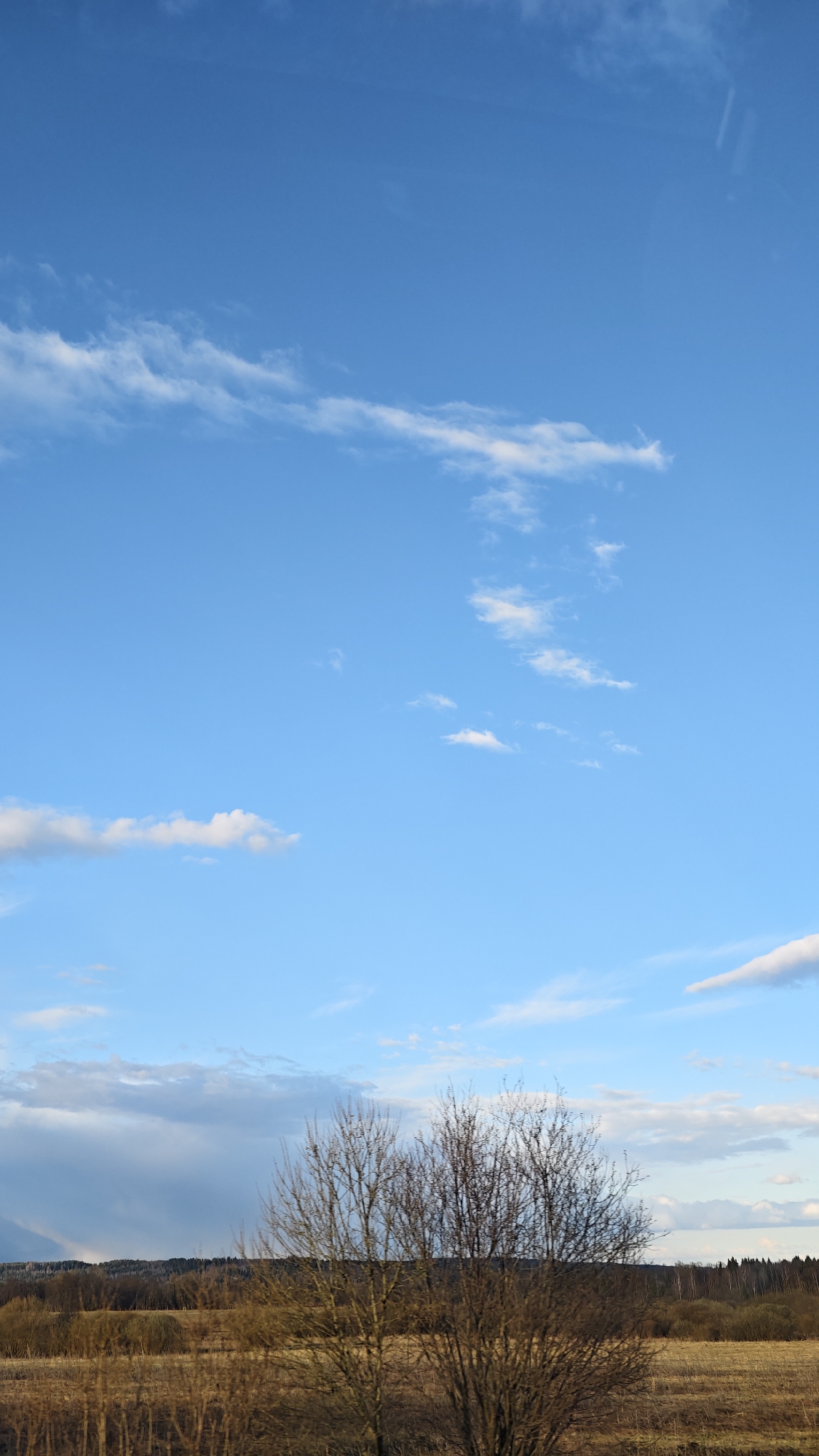 This vertical shot captures a serene, open rural landscape under a vast sky, likely in Кварса, Russia. The upper two-thirds of the image are dominated by a bright, clear blue sky, traversed by scattered, wispy white clouds of varying sizes and densities. Some clouds appear as thin streaks, while others are small, fluffy patches.
The lower third of the image depicts a wintry or early spring scene. In the foreground, several deciduous trees stand bare, their dark, intricate branches silhouetted against the lighter background, indicating a lack of foliage. Behind these trees, a field stretches out, covered in dry, light brown vegetation. Further back, a dark, dense line of what appears to be a forest or thick brush runs horizontally across the mid-ground. In the far distance, another, denser forest line is visible, with the sky above it appearing slightly cloudier and darker, suggesting some weather variation or the approaching evening.
The overall lighting suggests late afternoon or early evening, with a soft, diffused light illuminating the scene. There is no specific activity or event taking place, and no people or visible text are present. The atmosphere conveyed is one of quietude and natural expanse. The landscape, with its bare trees and dormant fields, aligns with the provided location context of Russia during the colder months.