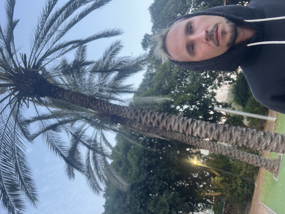 The image captures an outdoor scene in Kiryat Motzkin, Israel. A male subject is positioned in the lower right foreground, looking towards the right side of the frame. He has light-colored, spiky hair and a short beard, wearing a black hooded sweatshirt with white drawstrings. The background is dominated by several tall palm trees with textured trunks and fronds extending upwards against a light blue sky. Behind the palm trees, dense green foliage is visible. An illuminated yellow streetlamp is situated amidst the foliage on the left side of the image. A patch of green surfacing is visible on the ground in the lower left, consistent with a park or public area.