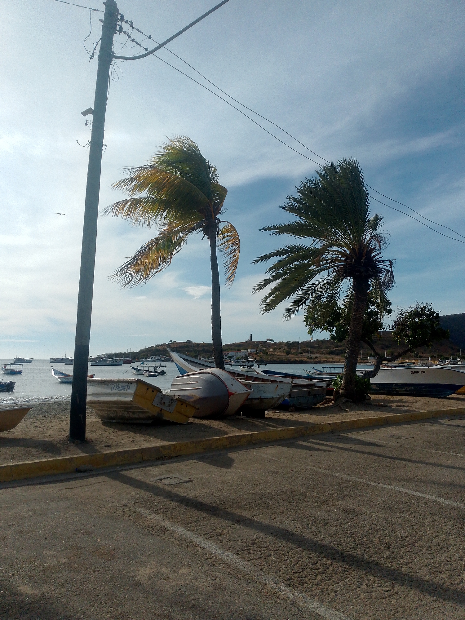 The image shows a coastal scene in Juan Griego, Venezuela. Two palm trees stand between the beach and a paved road. The left palm tree is bent in the wind. Several fishing boats are beached on the sandy shore, with more boats visible in the water. A utility pole with wires is to the left of the first palm tree. The sky is partly cloudy, with the sun shining through the clouds.
