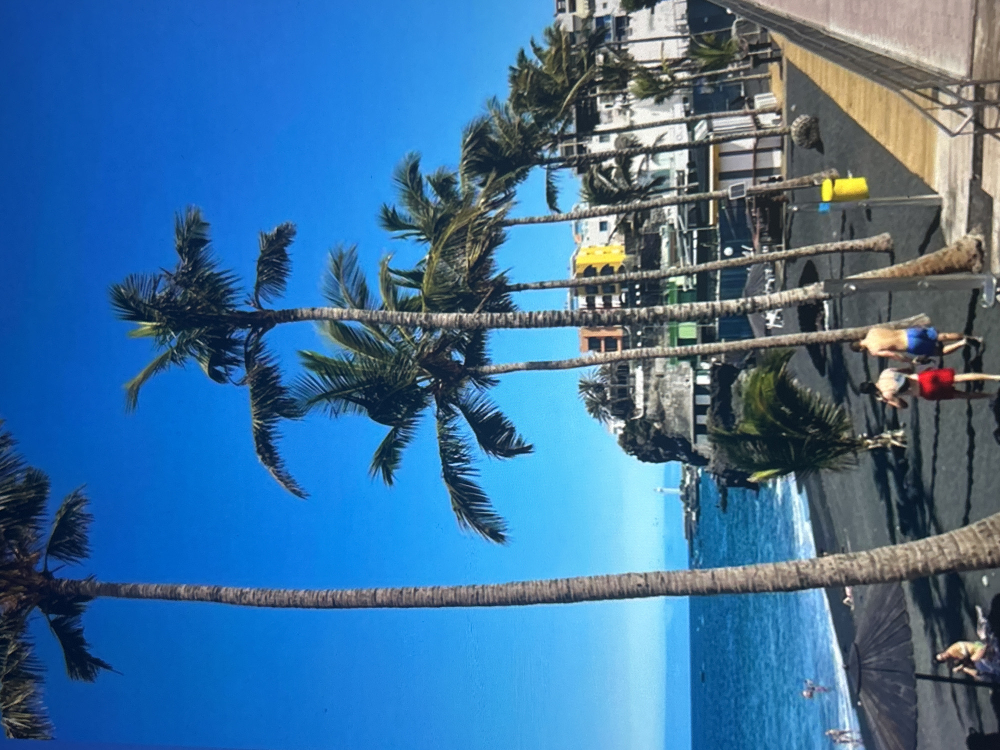 This media file captures a vibrant, sunny coastal scene, likely a beach resort or town. The image is oriented vertically but depicts a horizontal panorama.
**Subjects:** The most prominent subjects are numerous tall palm trees with green fronds, lining a paved promenade. Beyond the promenade, a series of buildings, possibly hotels or apartments, are visible. To the right of these structures lies a dark, likely black sand, beach and the blue ocean. Several people are scattered throughout the scene; two men in swimwear (one in blue shorts, one in red shorts) are clearly visible walking on the promenade in the mid-ground. Other smaller figures can be seen on the beach and further down the promenade. A large black beach umbrella is partially open on the sand.
**Activity or event taking place:** People appear to be strolling along the promenade or enjoying the beach. The overall atmosphere suggests leisure and recreation in a holiday setting.
**Notable details:** The time of day is clearly daytime, characterized by a bright, clear blue sky with no clouds. The weather appears sunny and pleasant. The distinctive black sand beach is a strong location cue, often found in volcanic regions. The tall palm trees and the coastal architecture further emphasize a tropical or sub-tropical setting. No specific text is clearly visible in the image.