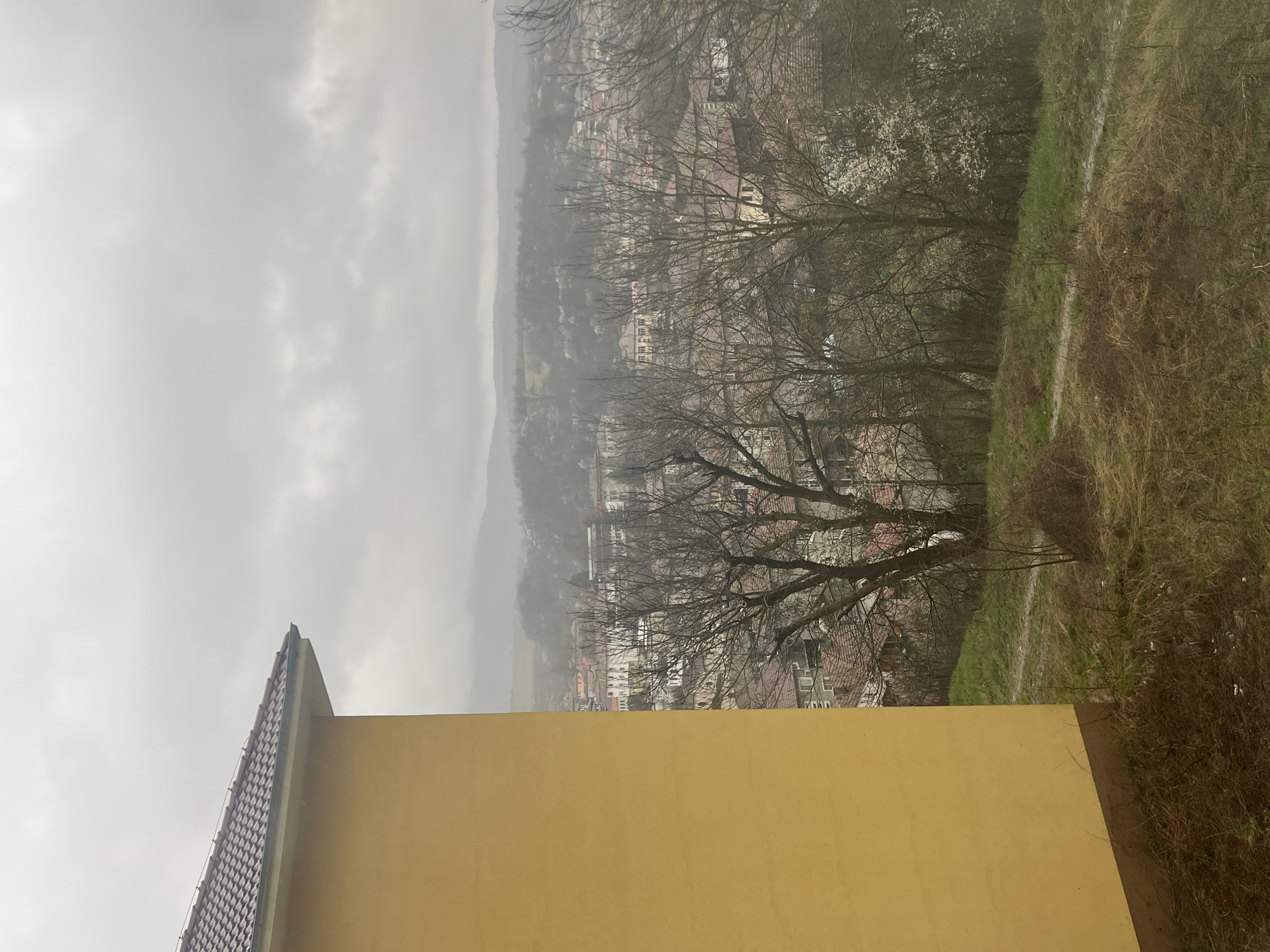 The image shows an overcast view over Elena, Bulgaria. From a high vantage point atop a mustard-yellow building, the camera looks over a cityscape covered in a damp haze. A ridge can be seen behind the cityscape. Leafless trees dot the scene. A grassy bank exists on the far right.