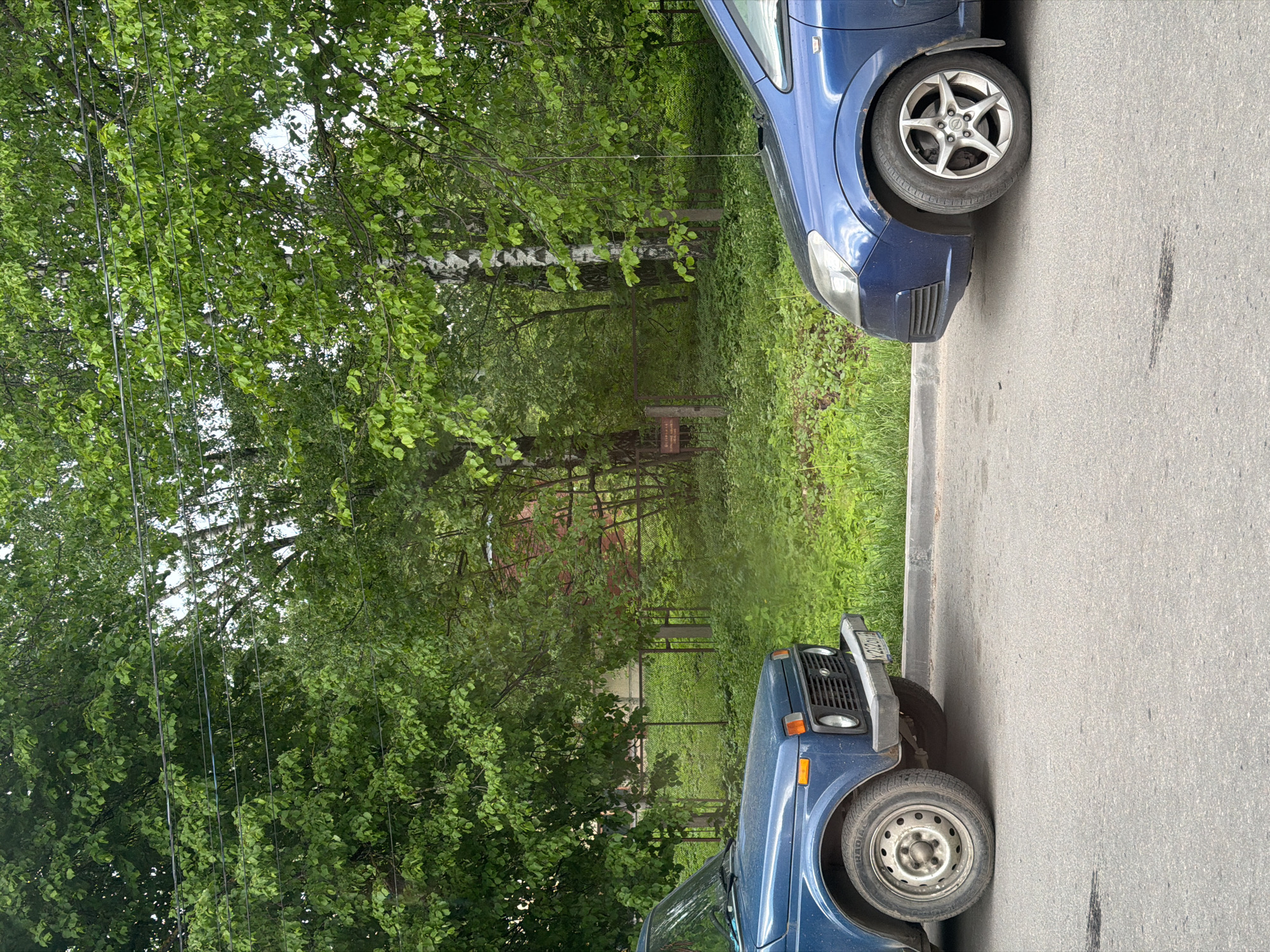 The image shows a street scene in Novosergievka, Russia. Two blue cars are parked on the right side of the asphalt road, with their front ends facing each other. The car on the bottom right has a license plate partially visible, while the car on the top right is a newer model with alloy wheels. Behind the cars, a grassy area leads to a wooded area with birch trees. A sign is faintly visible within the woods. The lighting suggests daylight.